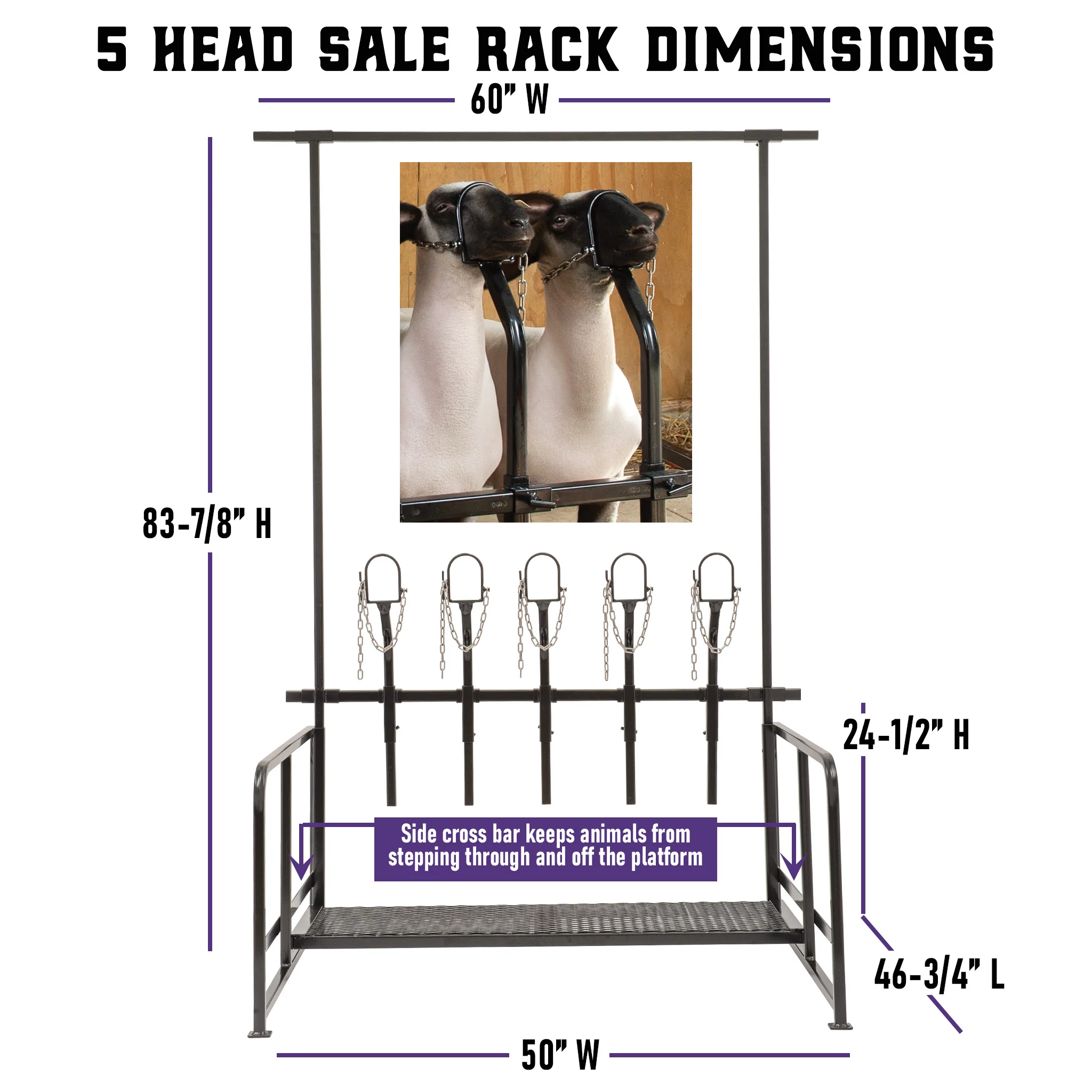 5 Head Sale Rack - Image 3