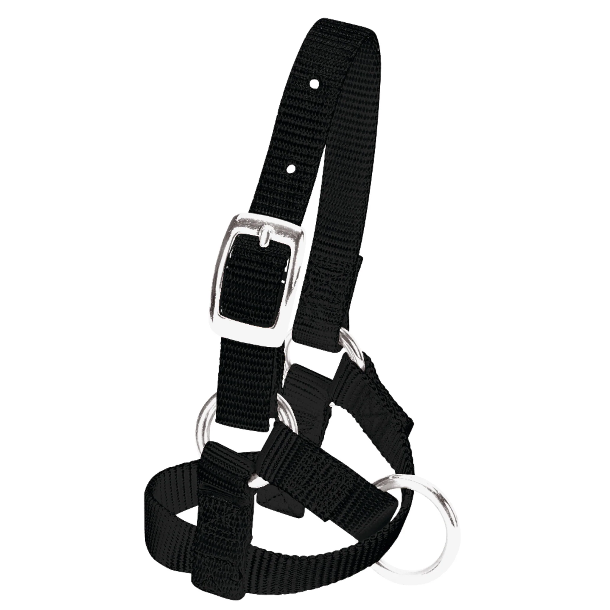 Alpaca Halter