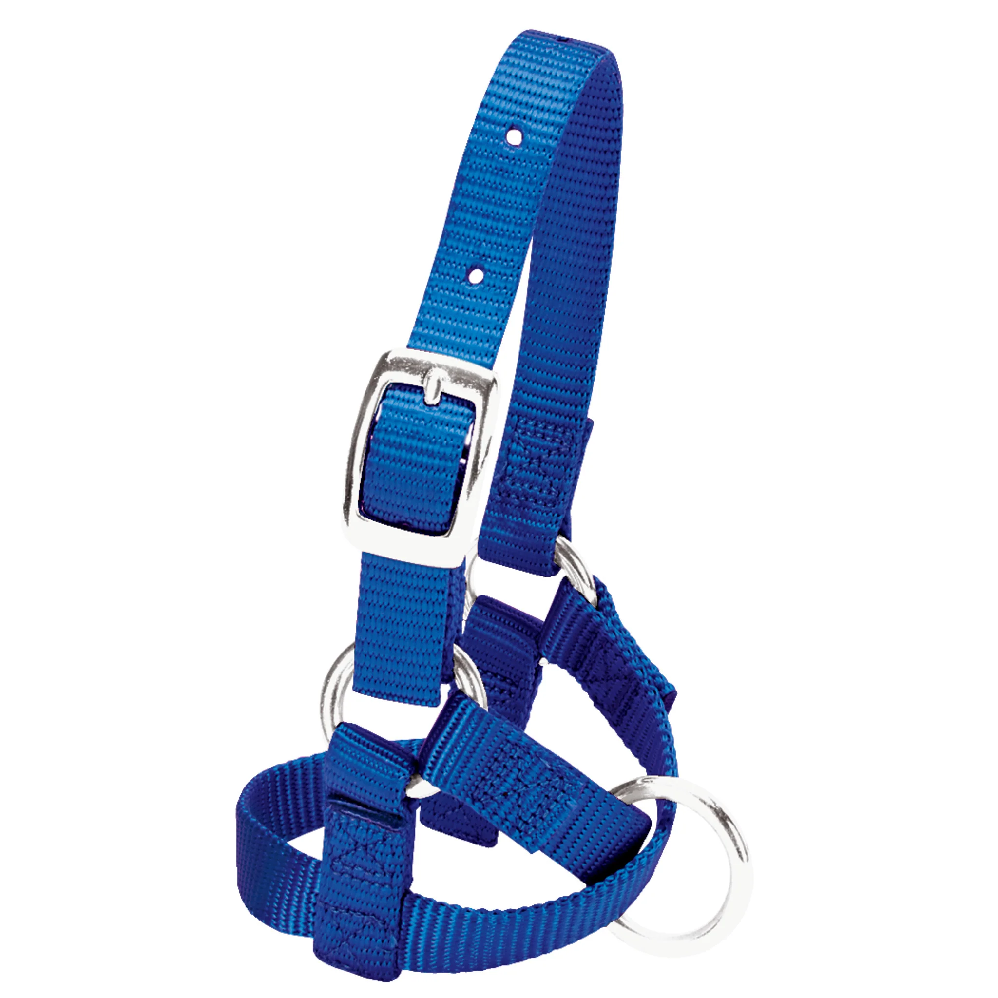 Alpaca Halter - Image 2