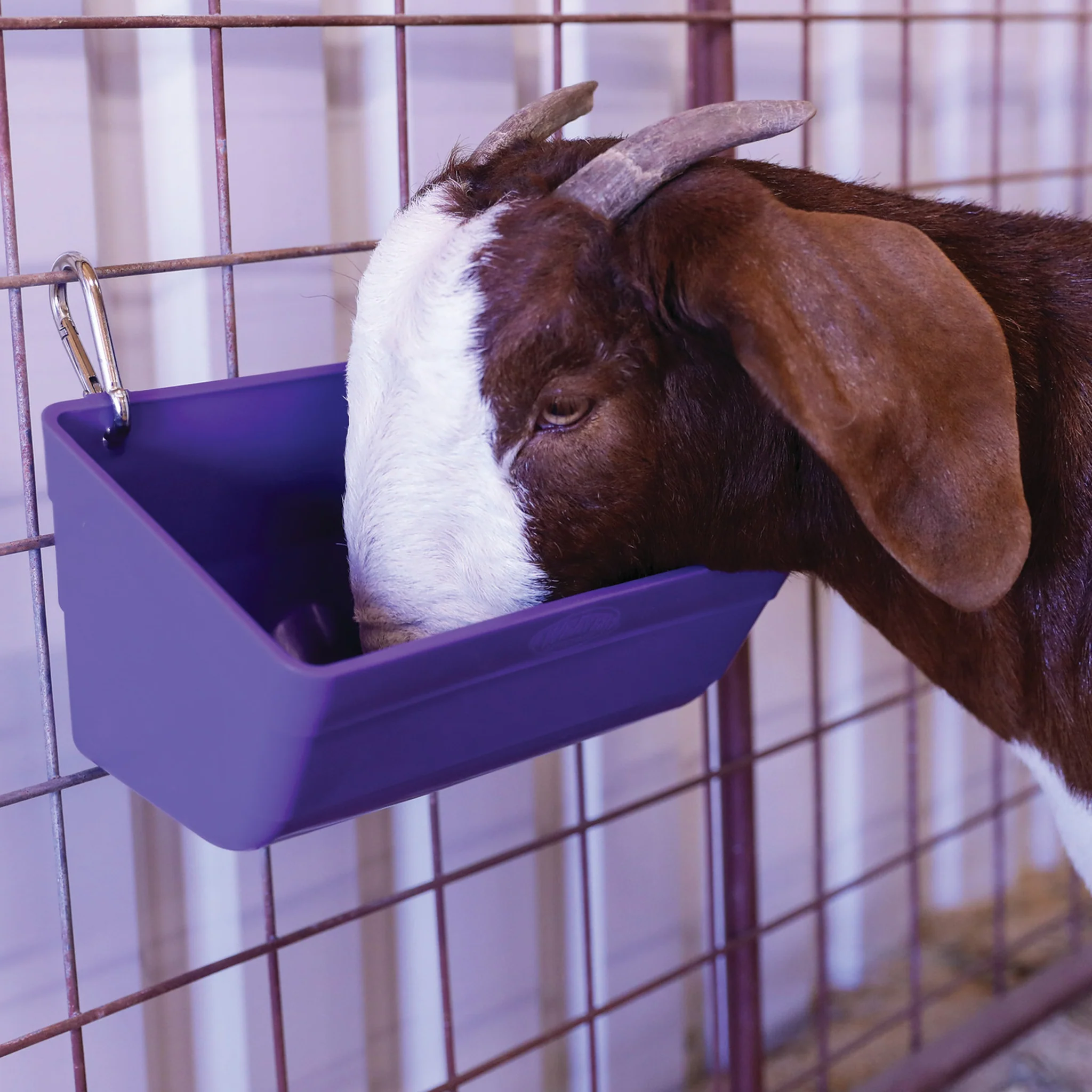 Animal Feeder, 3 quart - Image 6