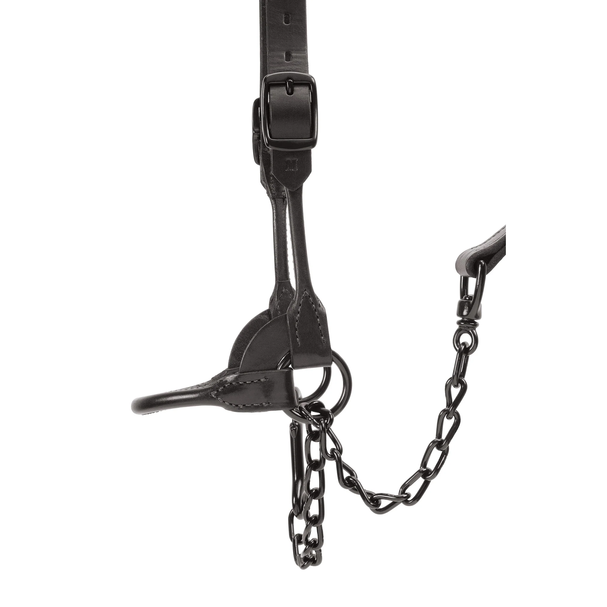 Black Magic Show Halter - Image 8