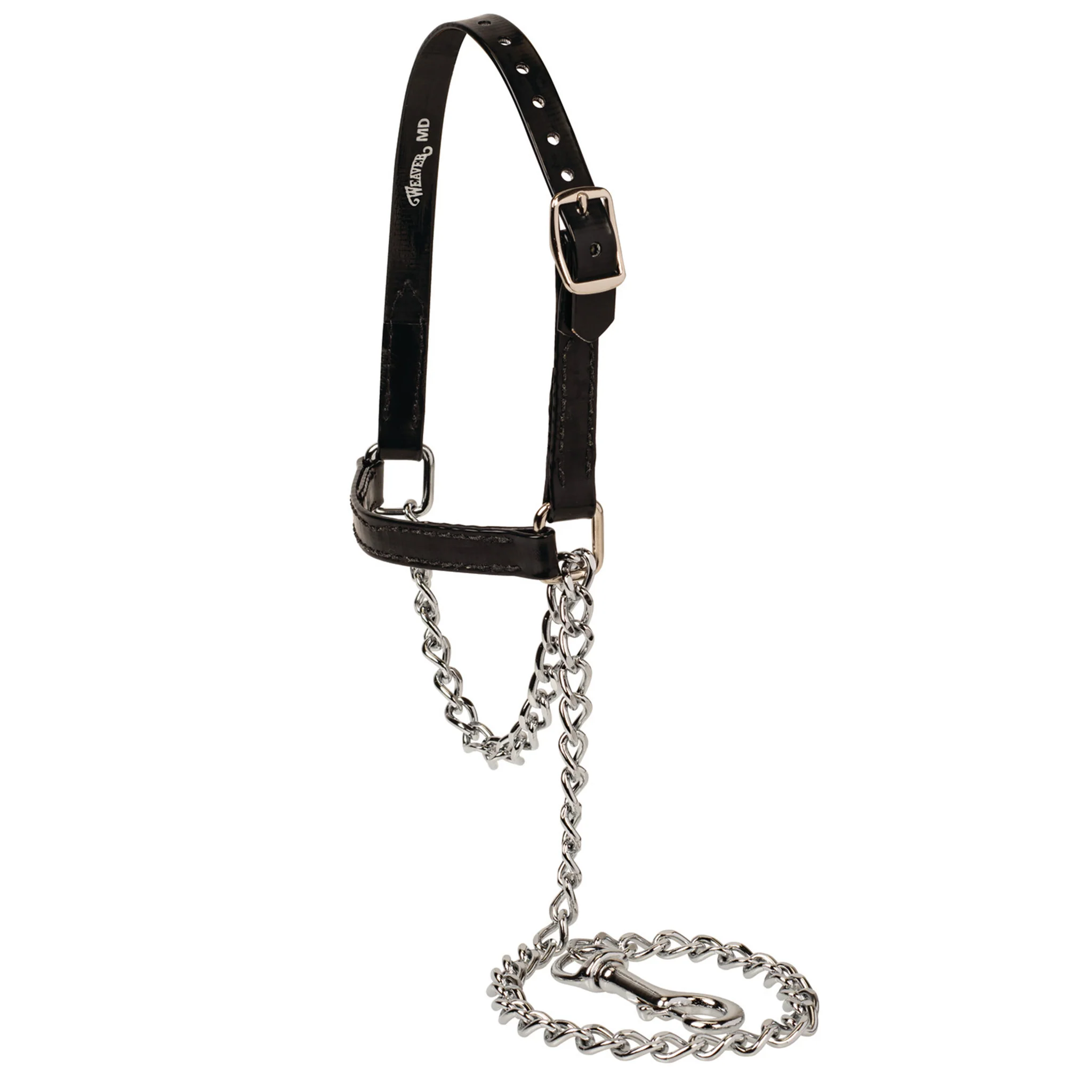 Brahma Webb® Clear Coat Sheep and Goat Halter - Image 2