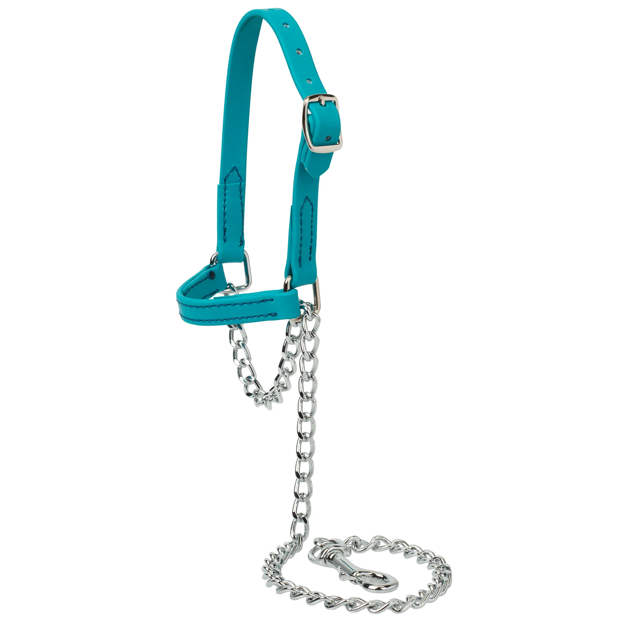 Sheep and Goat Brahma Webb® Halters - Image 7