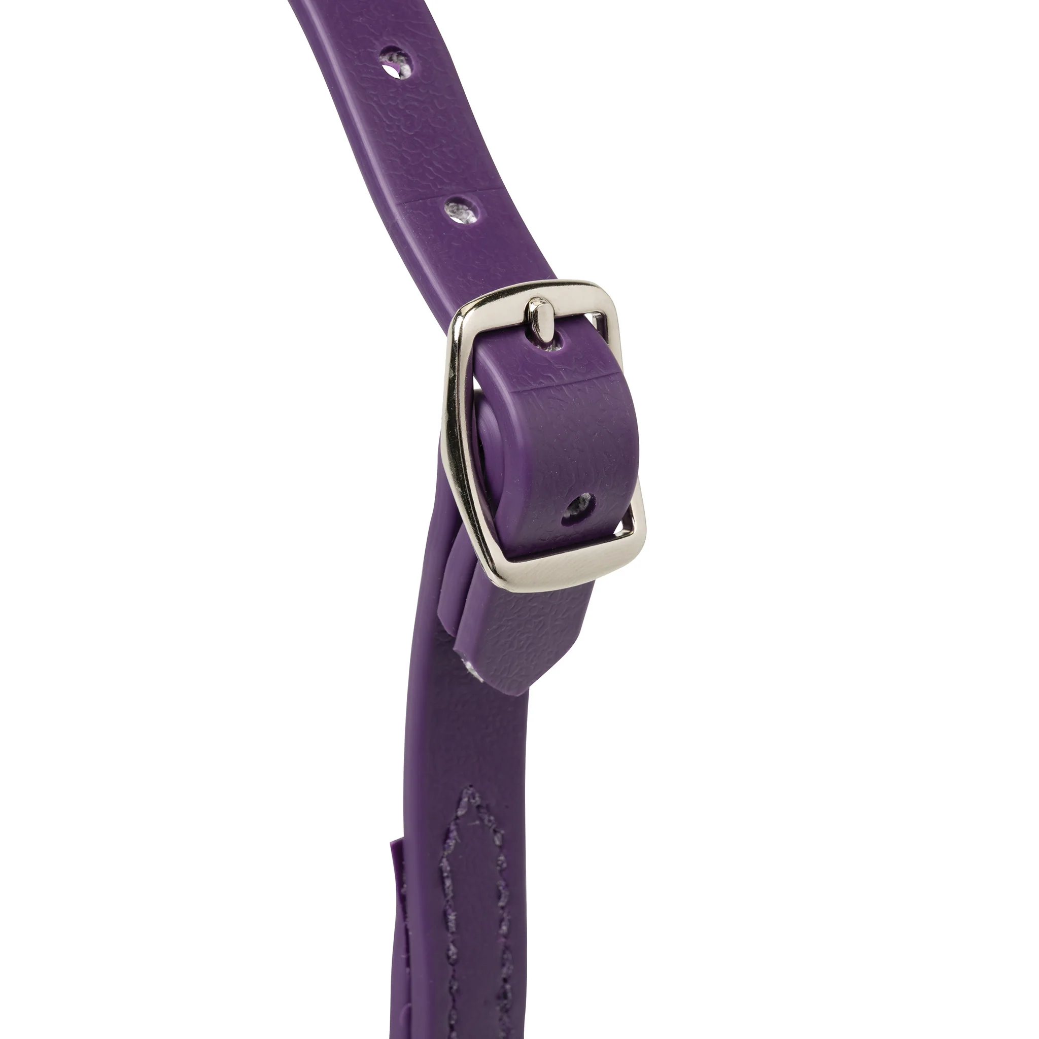 Sheep and Goat Brahma Webb® Halters - Image 9