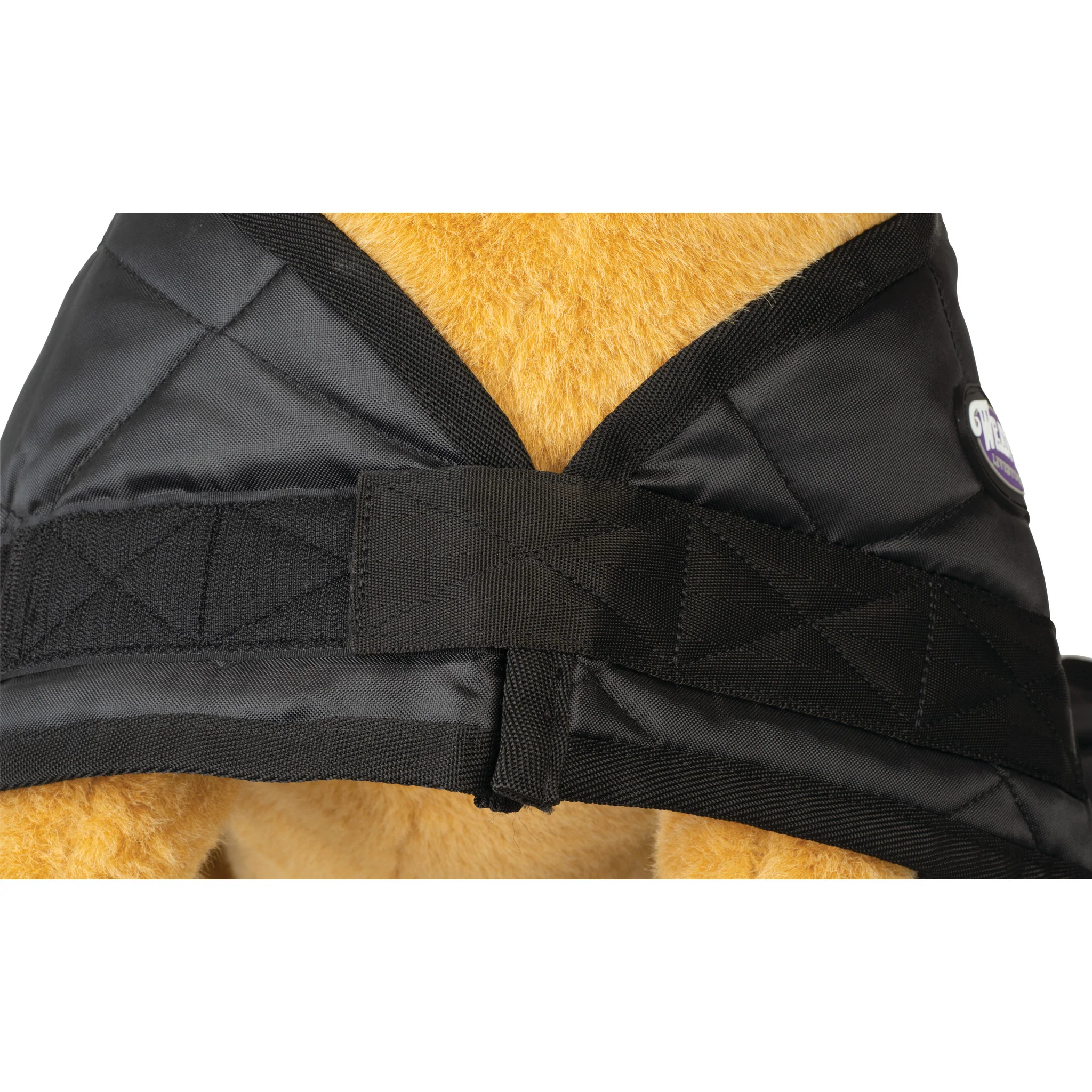 Calf Blanket - Image 4