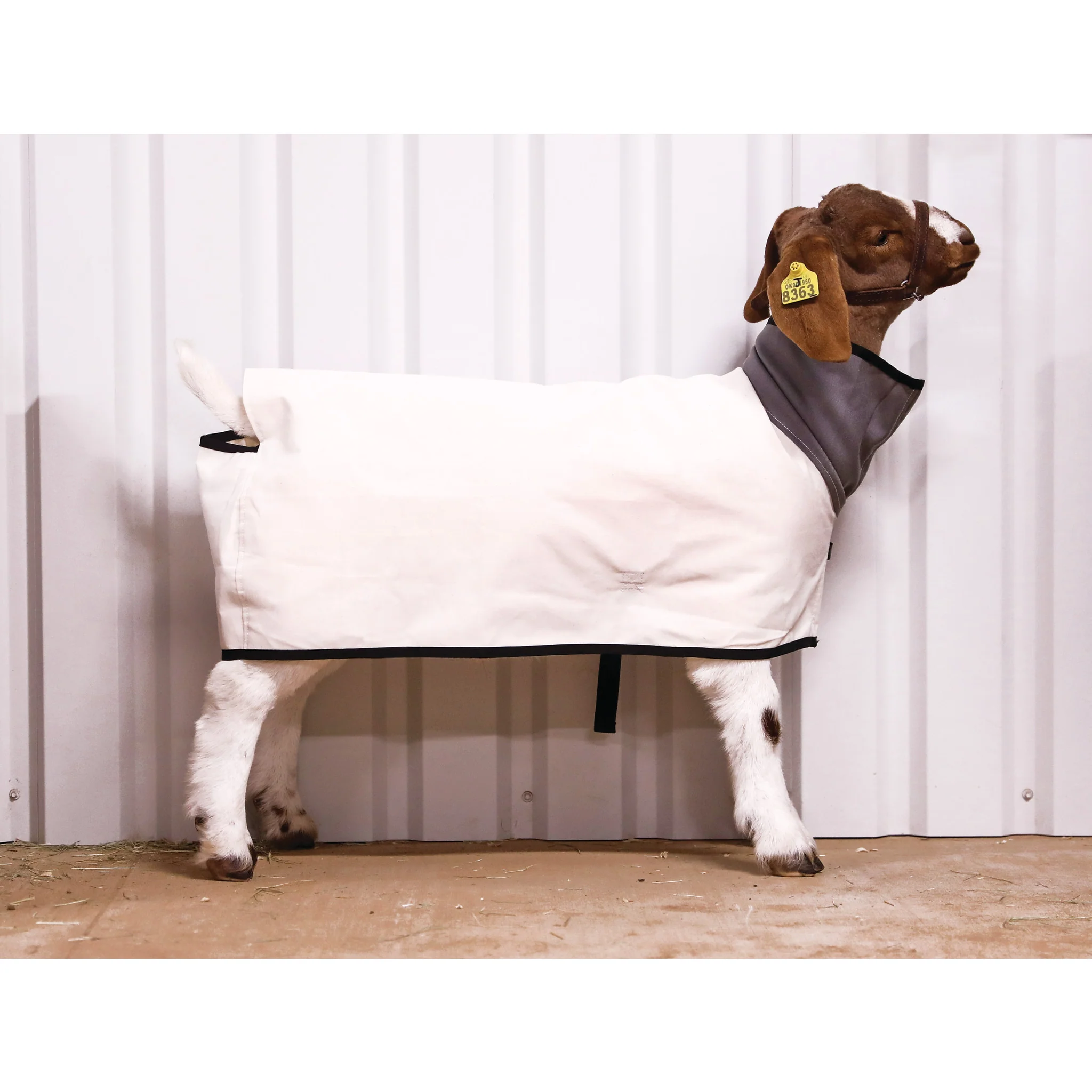 Canvas Goat Blanket - Image 4