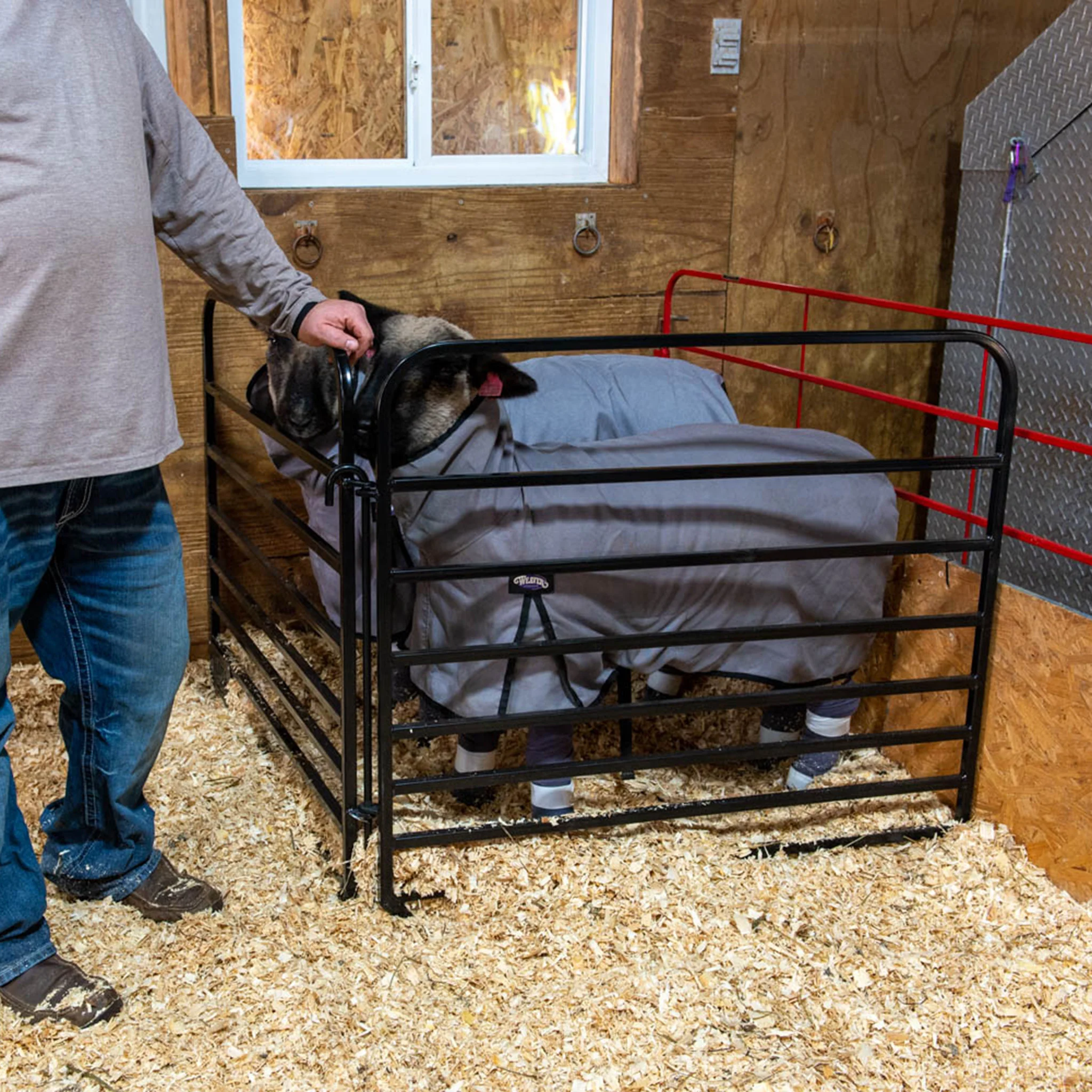 Catch Gate - Image 3