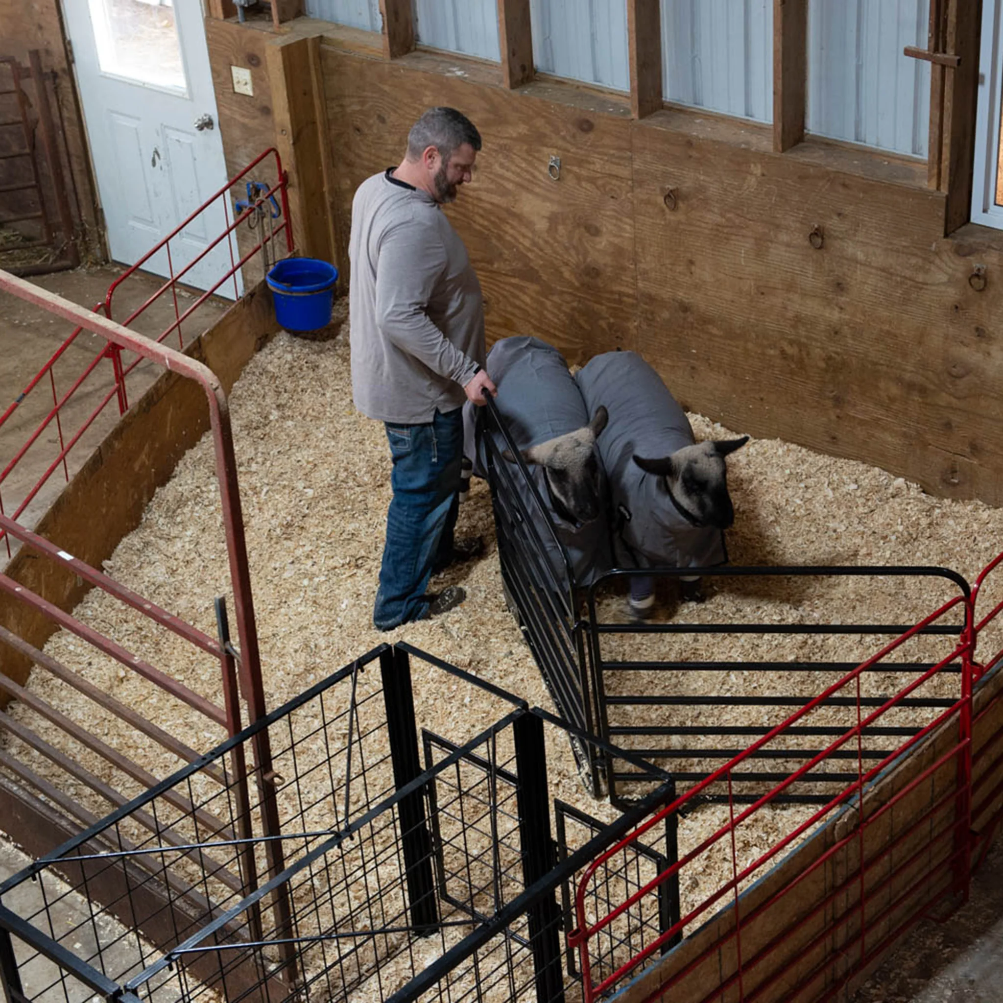 Catch Gate - Image 5