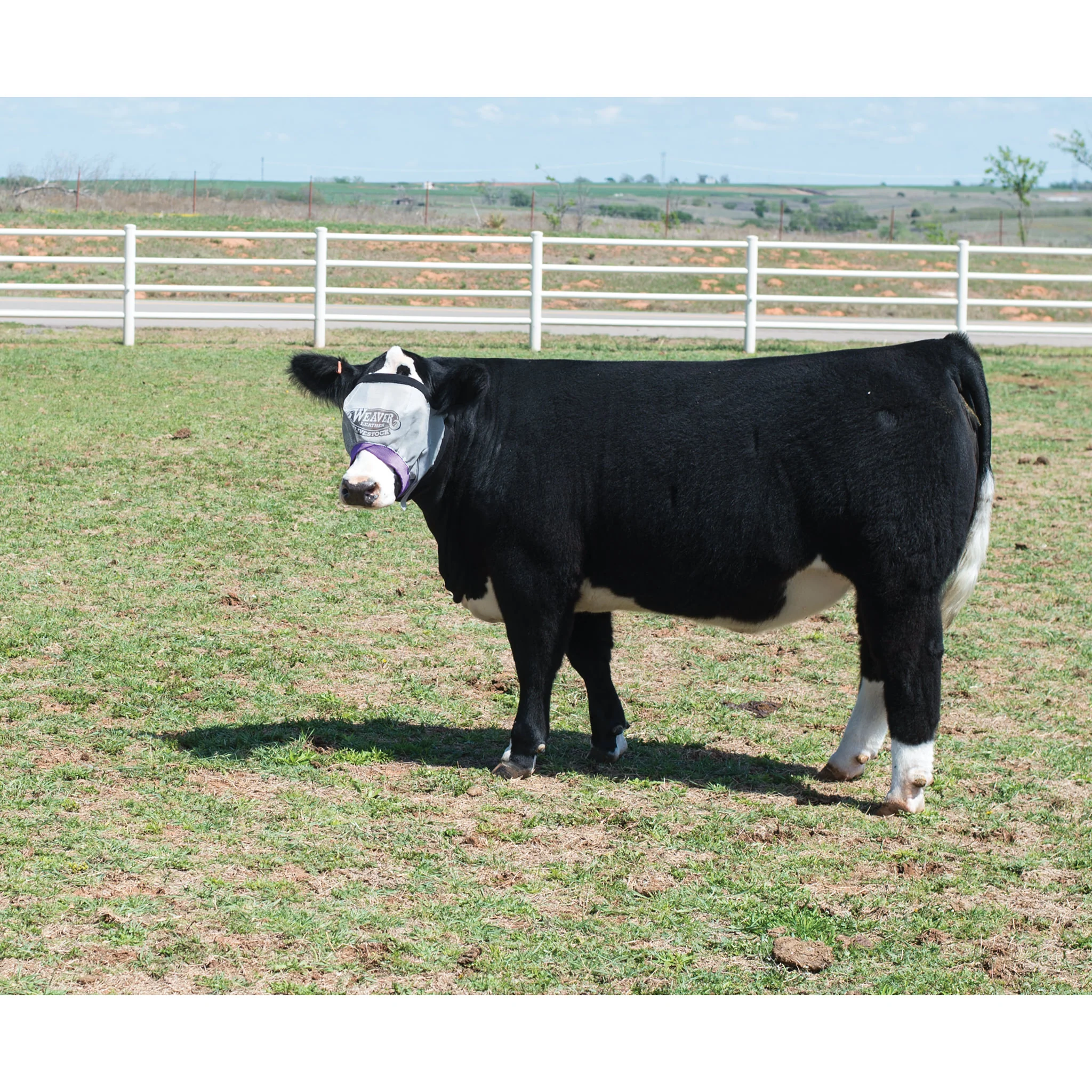 Cattle Fly Mask - Image 2