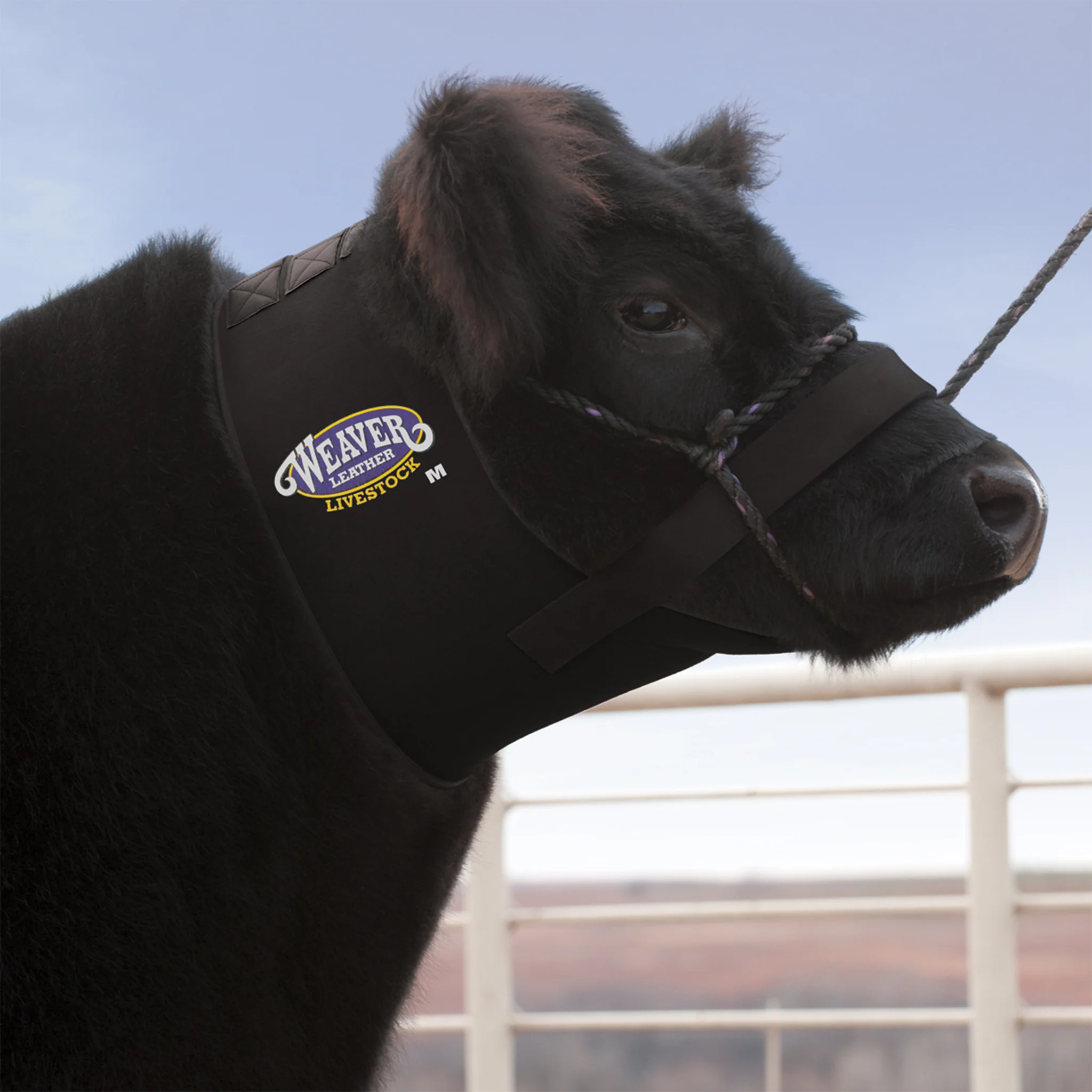 Cattle Neck Sweat - Image 3