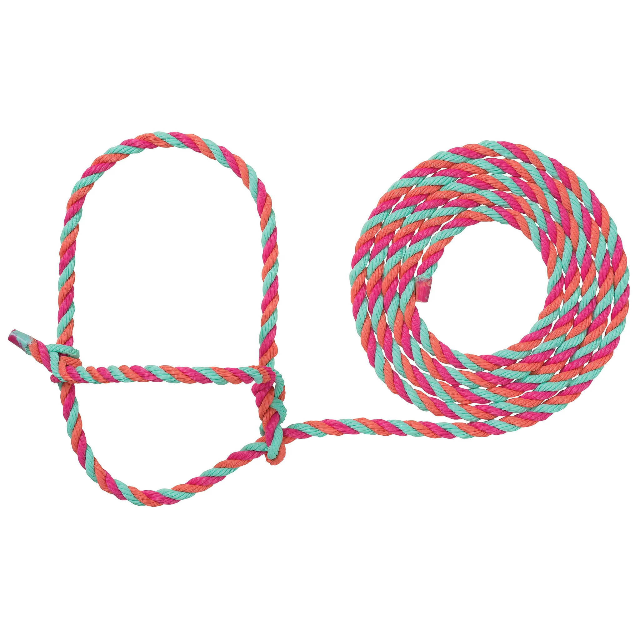 Cattle Rope Halter - Image 11