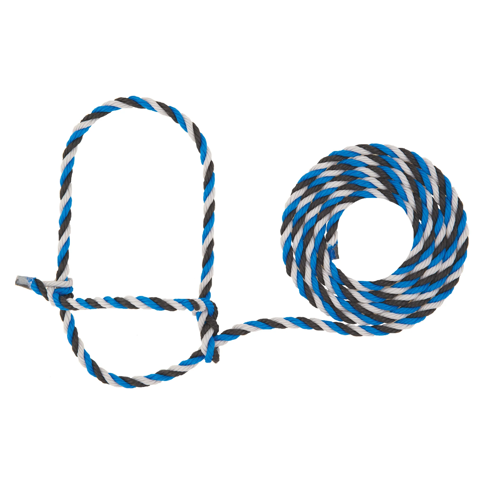 Cattle Rope Halter - Image 17
