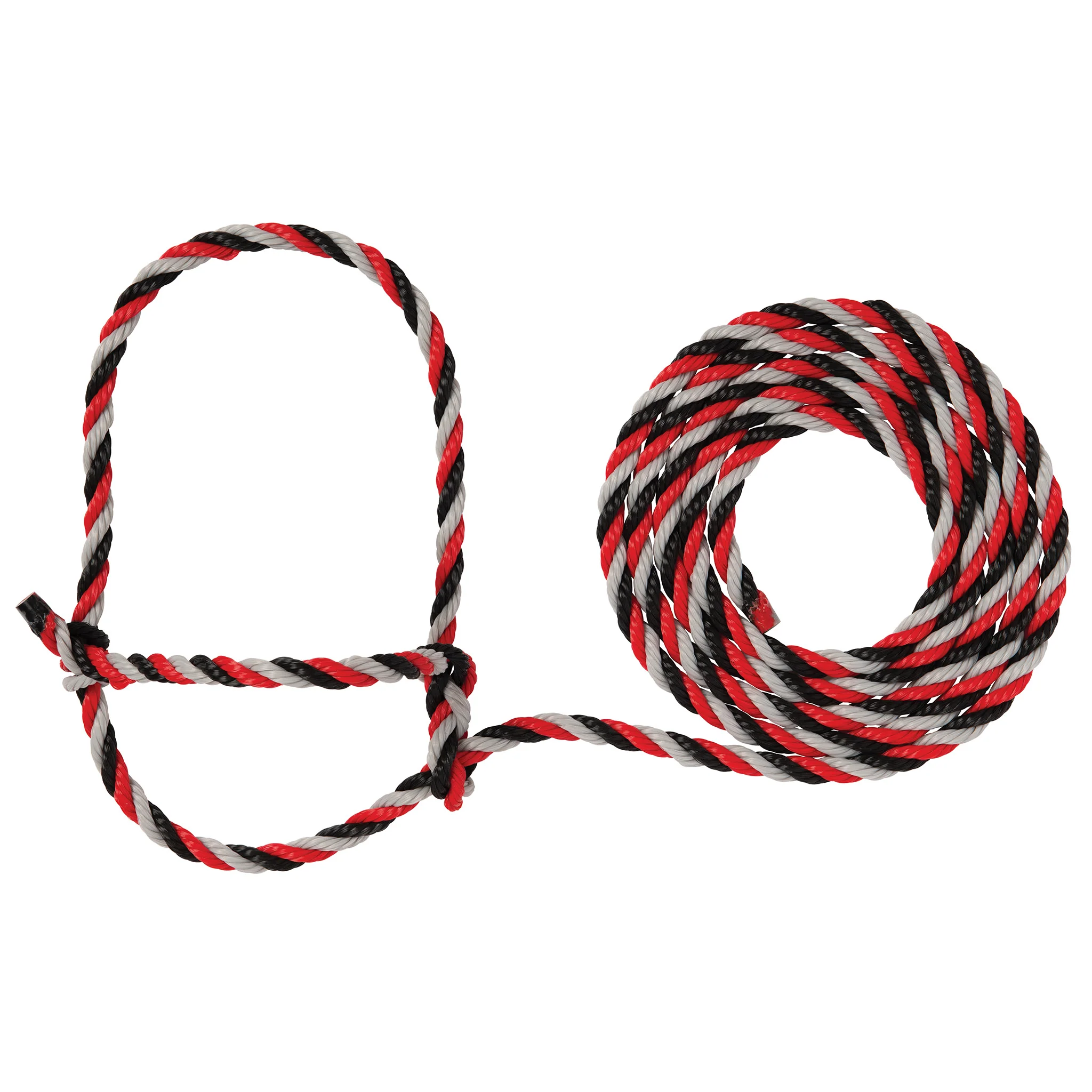 Cattle Rope Halter - Image 18