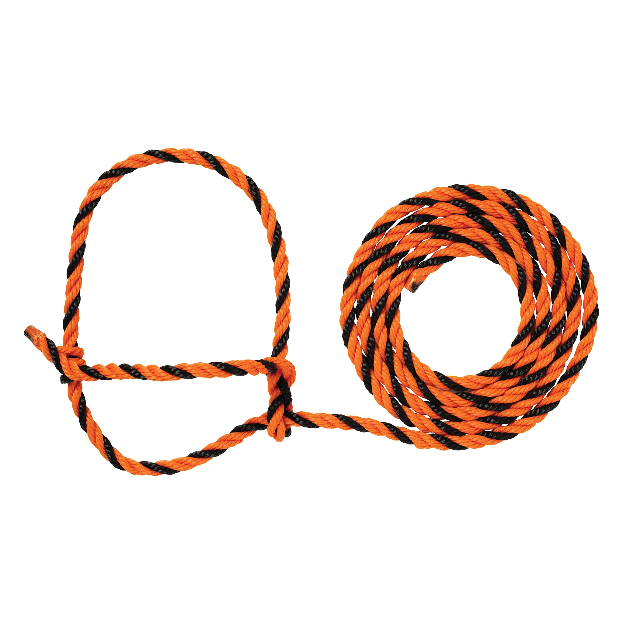 Cattle Rope Halter - Image 23