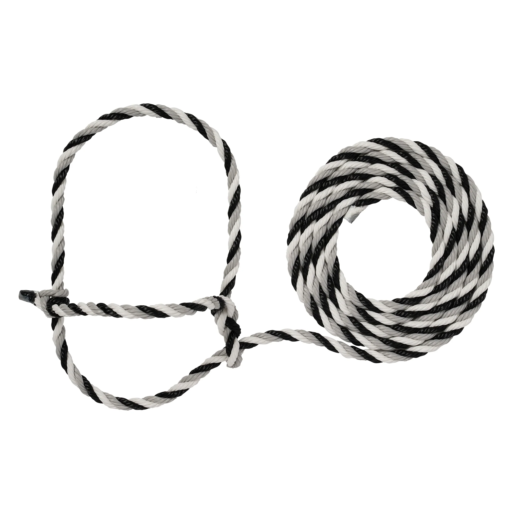 Cattle Rope Halter - Image 24