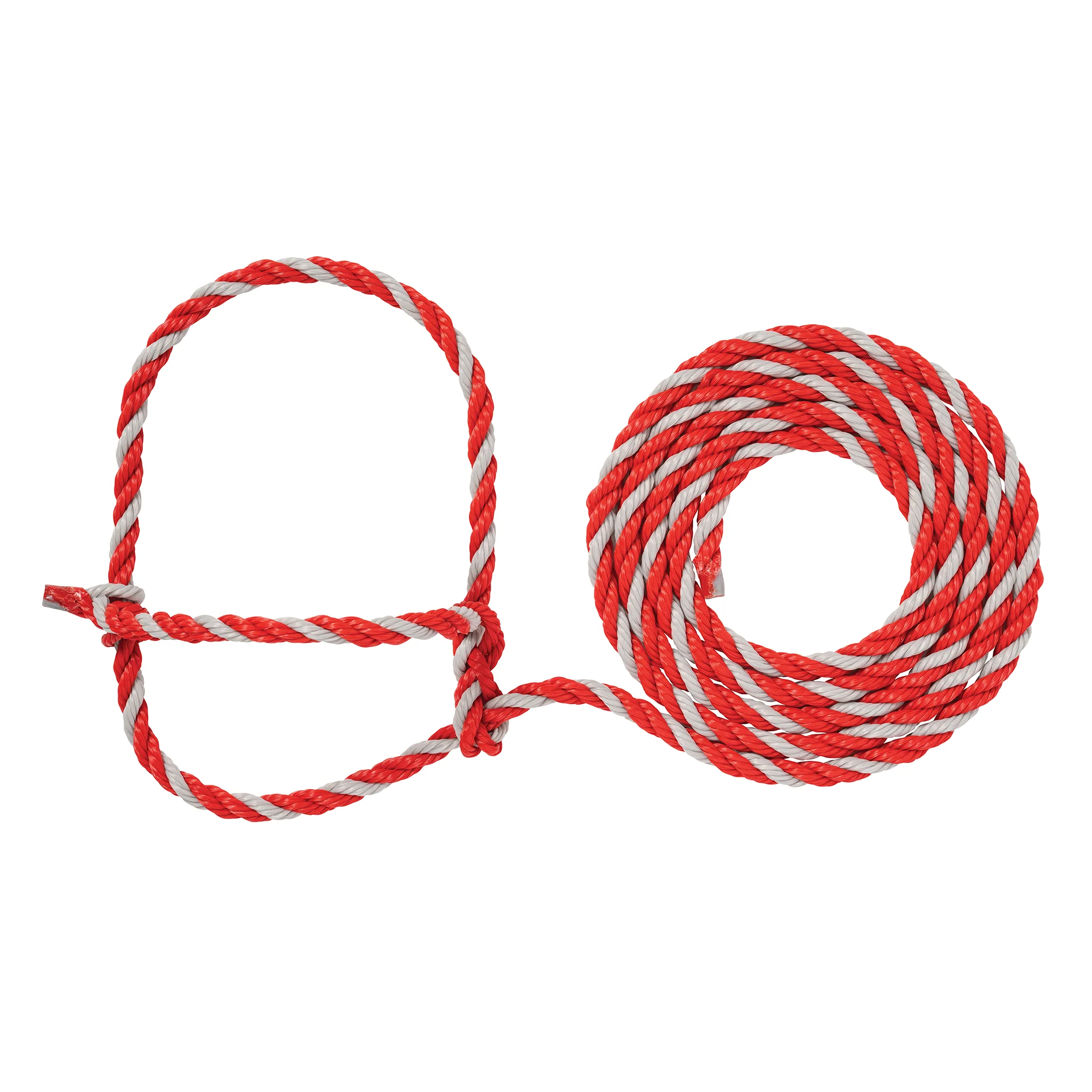 Cattle Rope Halter - Image 25