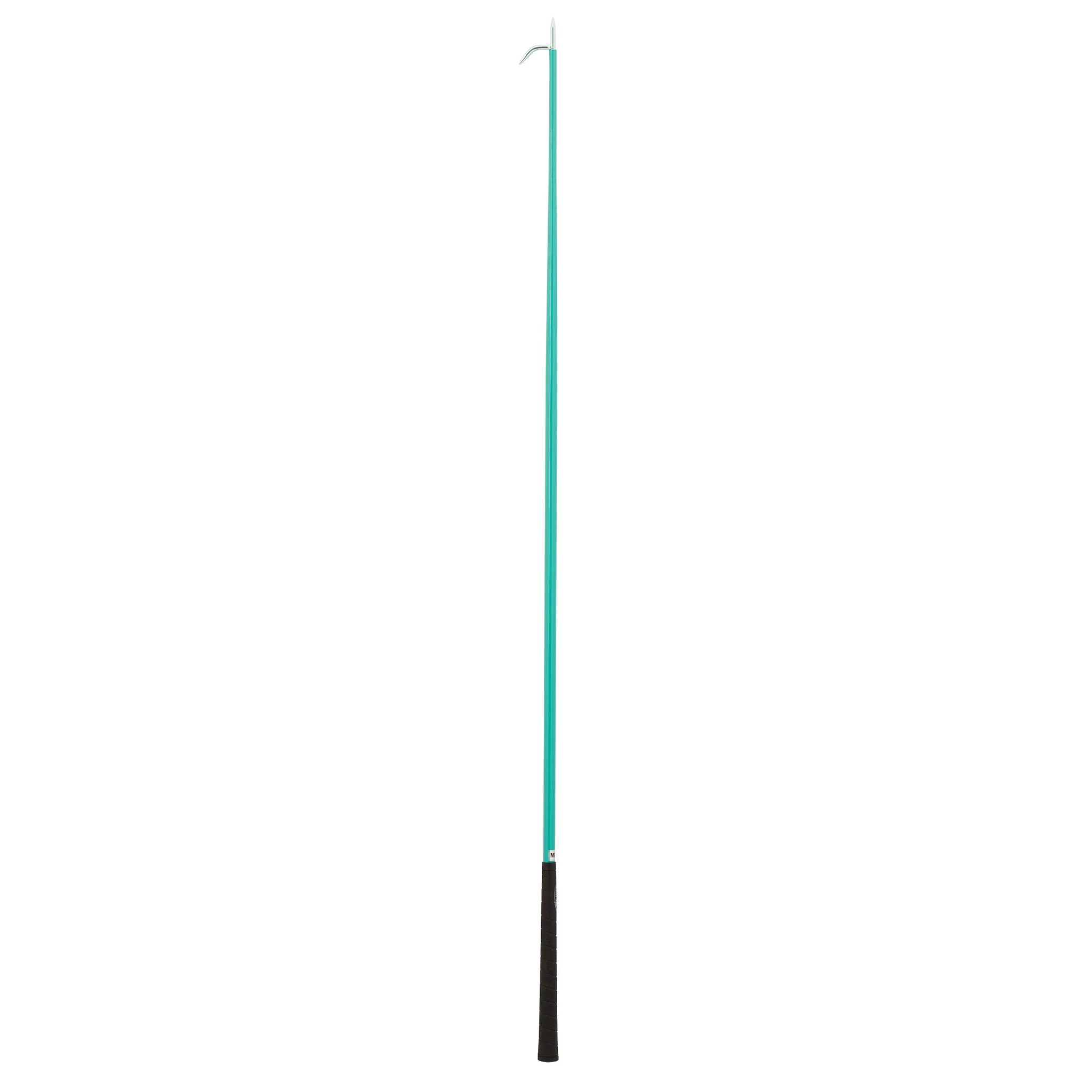 Cattle Show Stick with Handle - Image 8