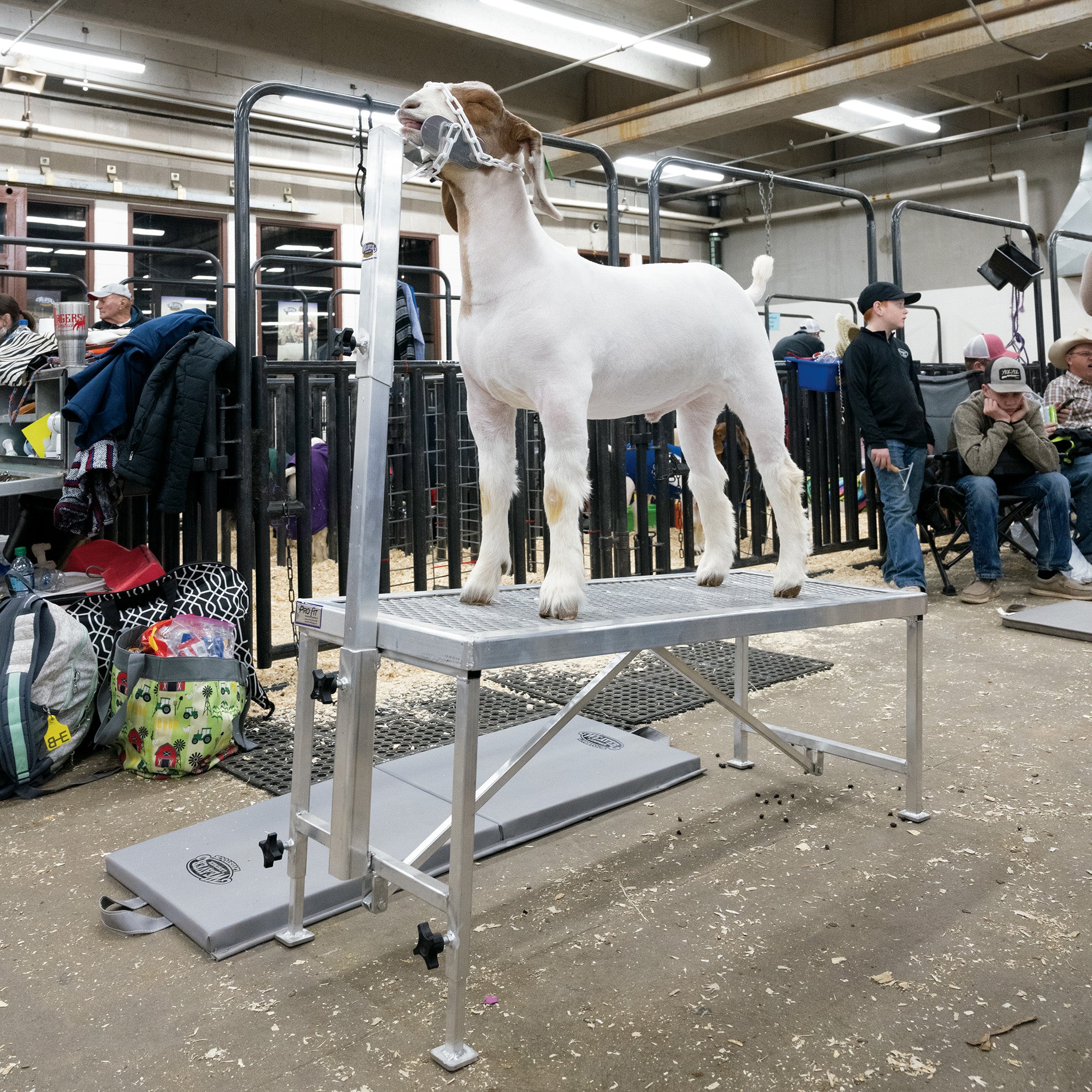 Complete Aluminum Trimming Stand - Image 17