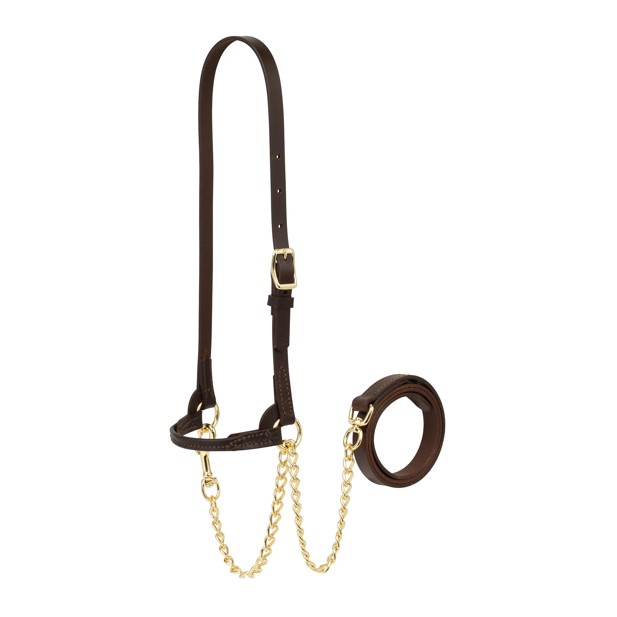 Dairy Show Halter - Image 2
