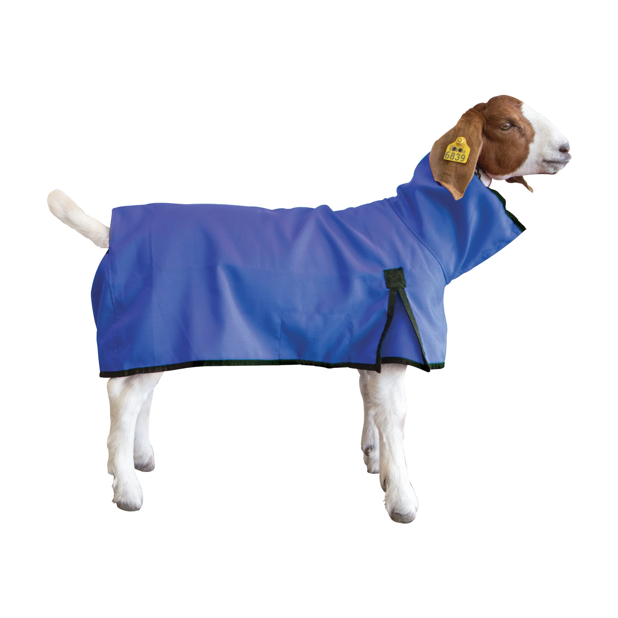 Nylon Goat Blanket - Image 3