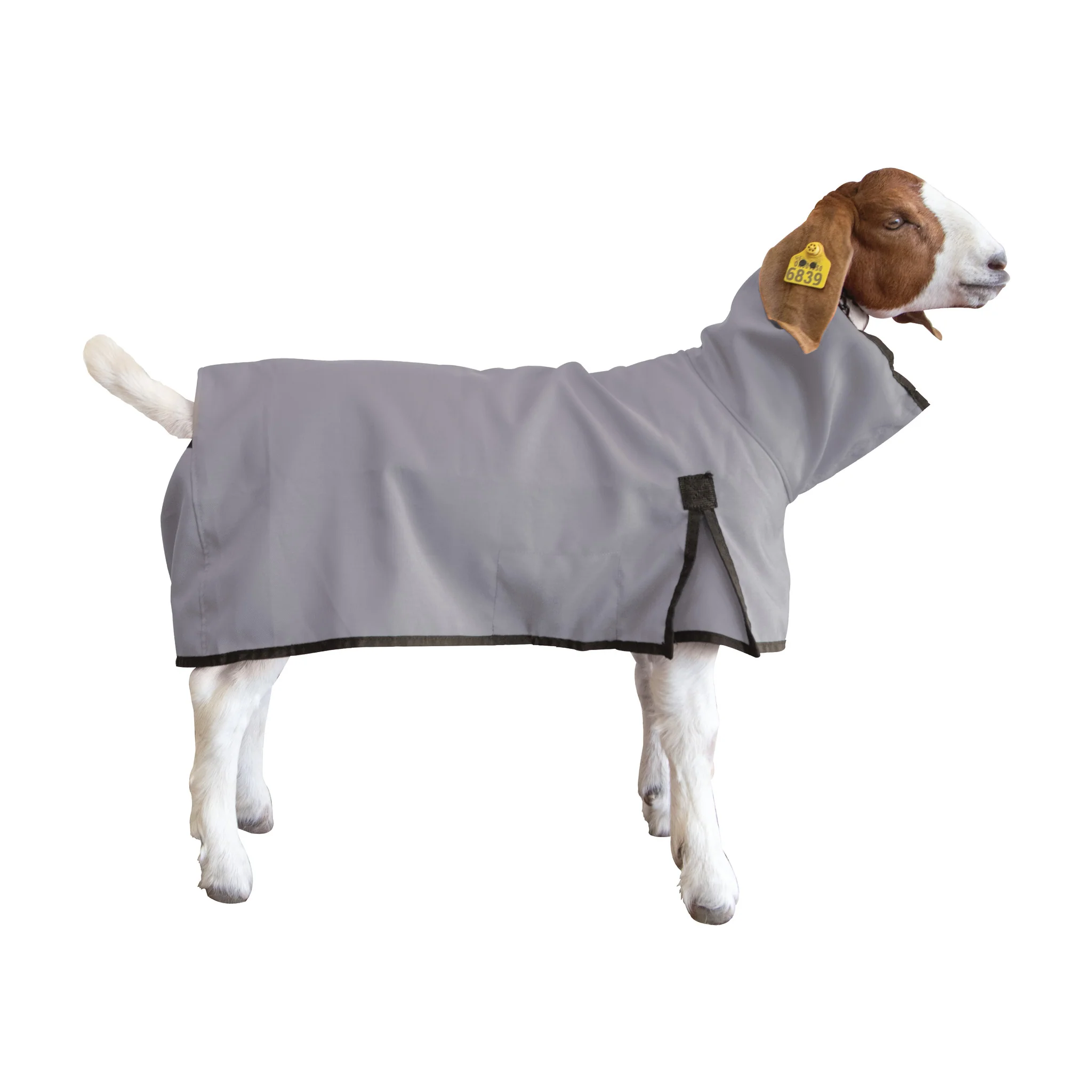 Nylon Goat Blanket - Image 4