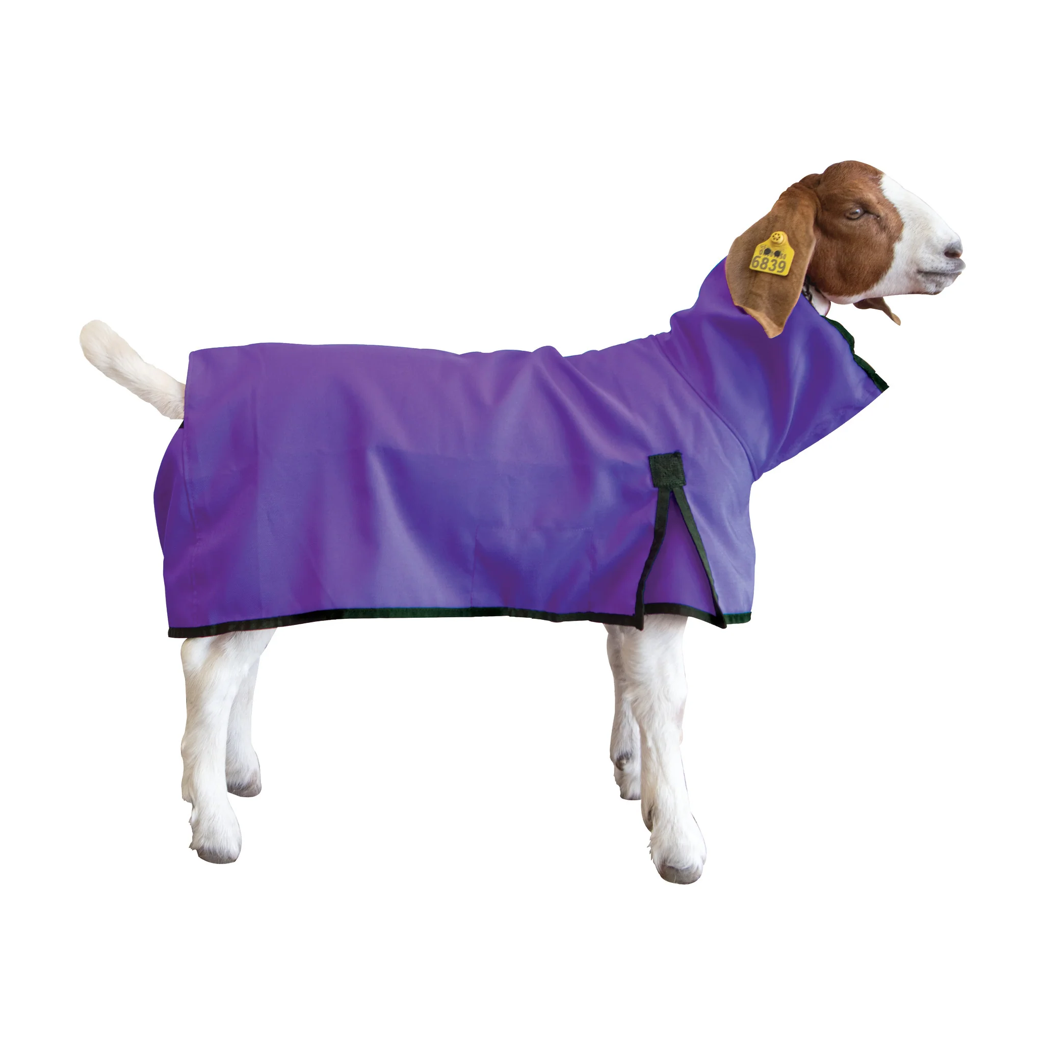 Nylon Goat Blanket - Image 5