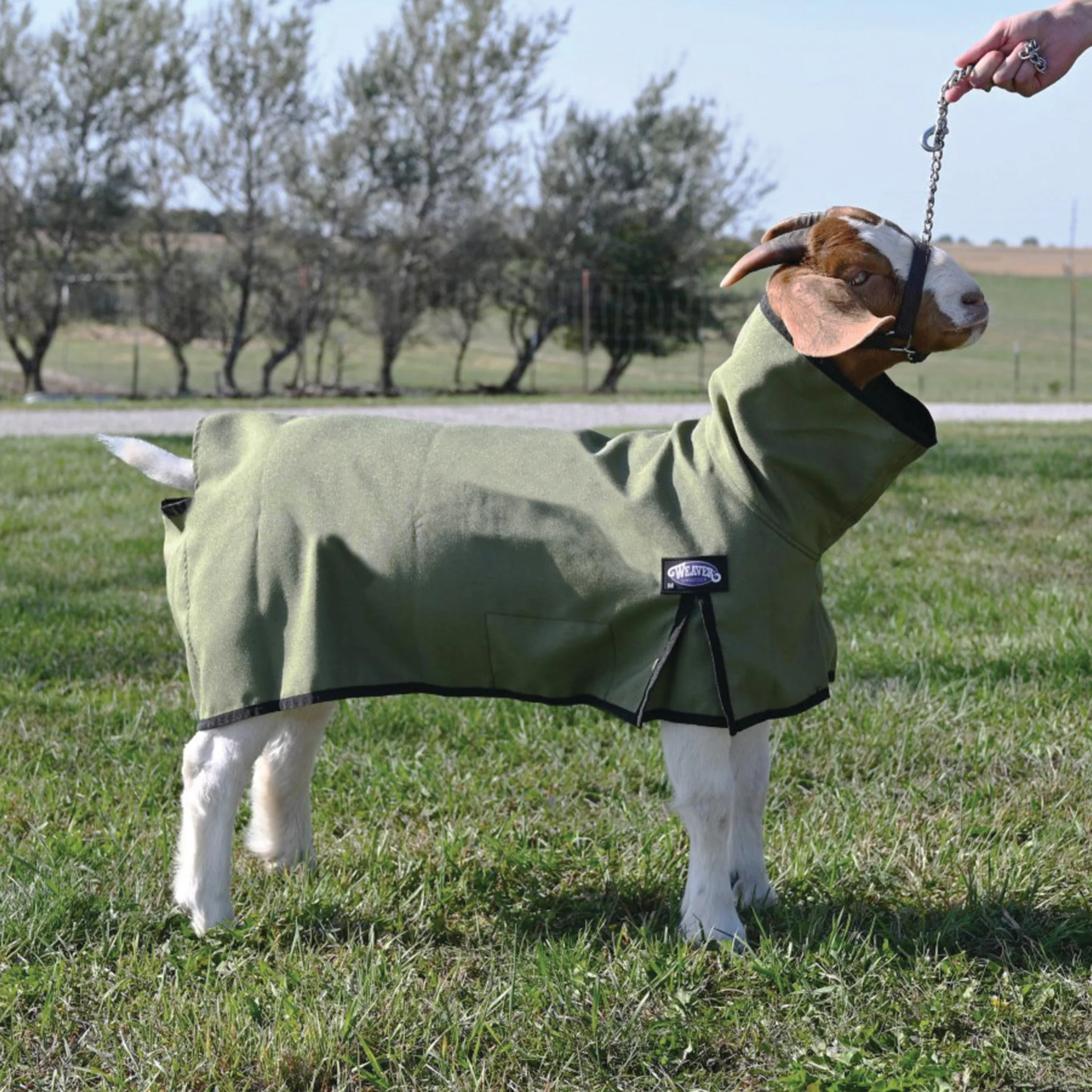 Nylon Goat Blanket - Image 6