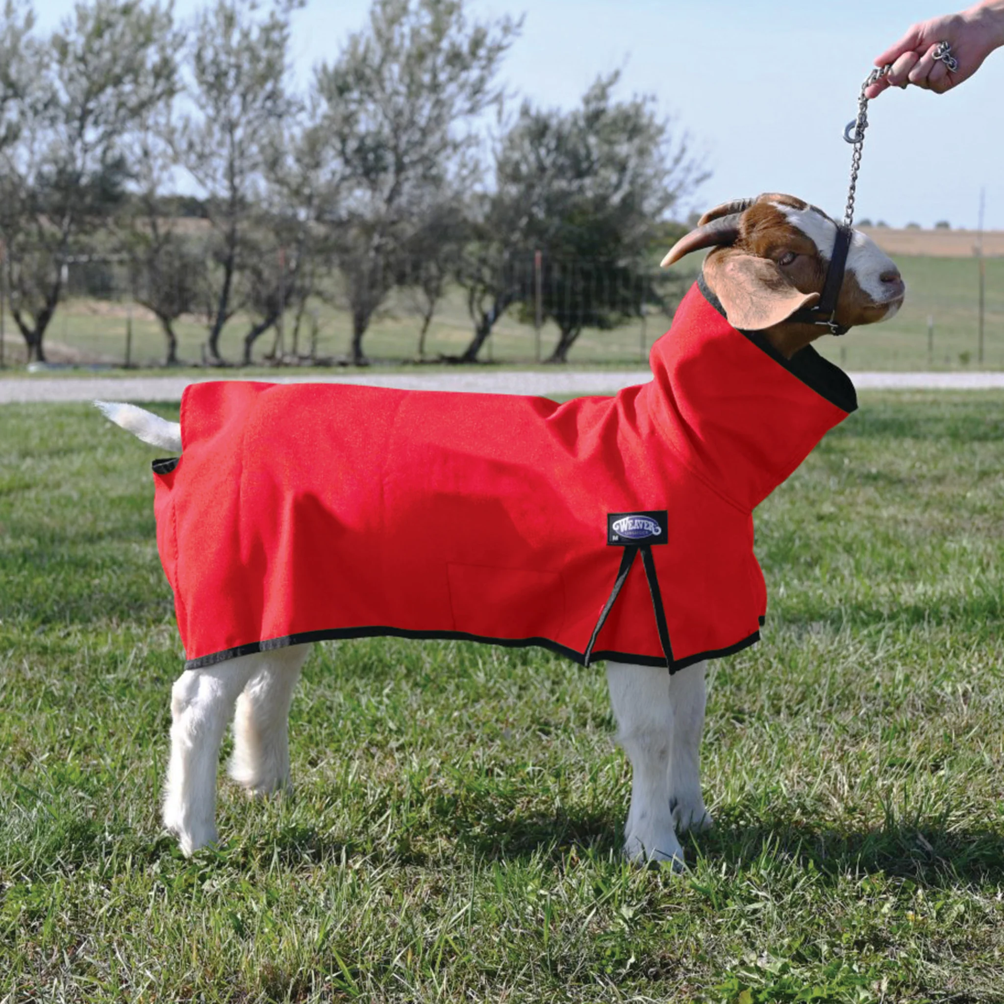 Nylon Goat Blanket - Image 7