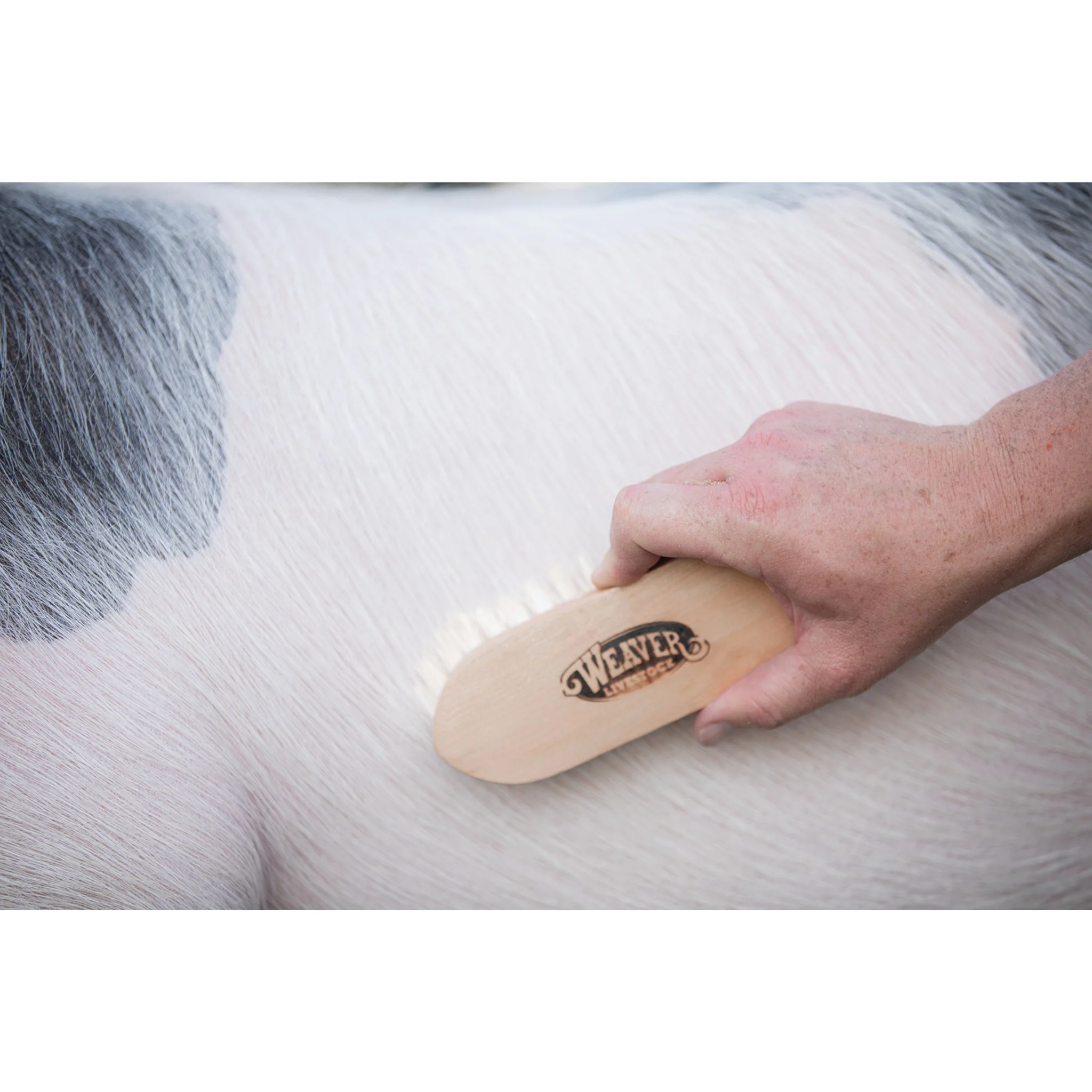 Goat Hair Brush - Image 2