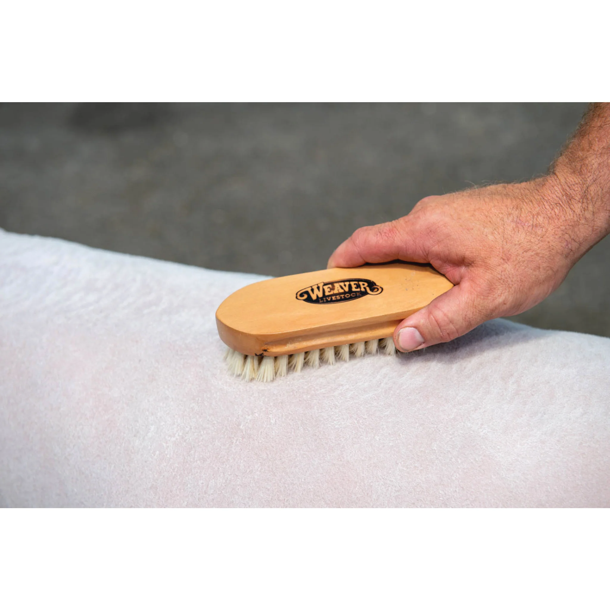 Goat Hair Brush - Image 4