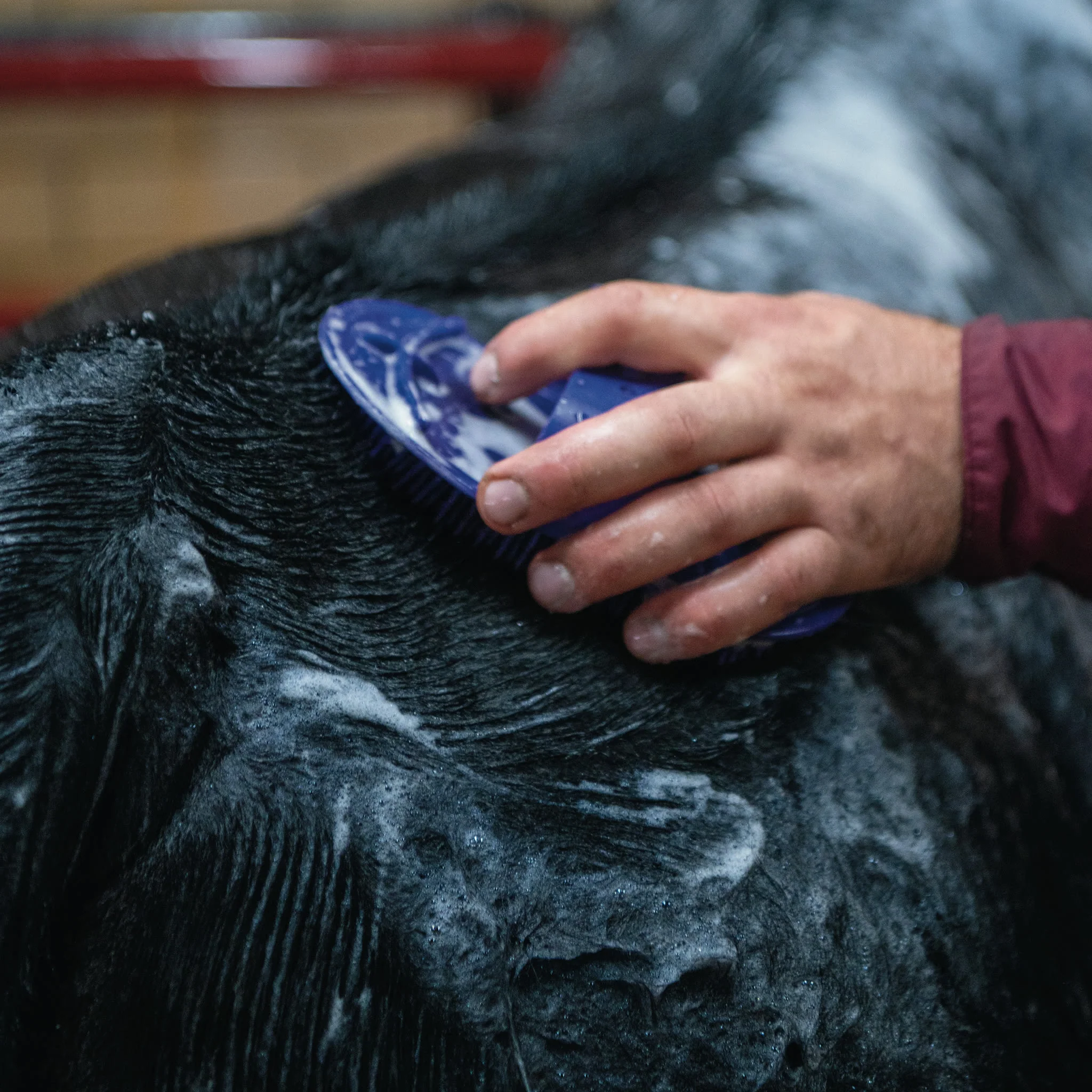 Massage Brush - Image 14