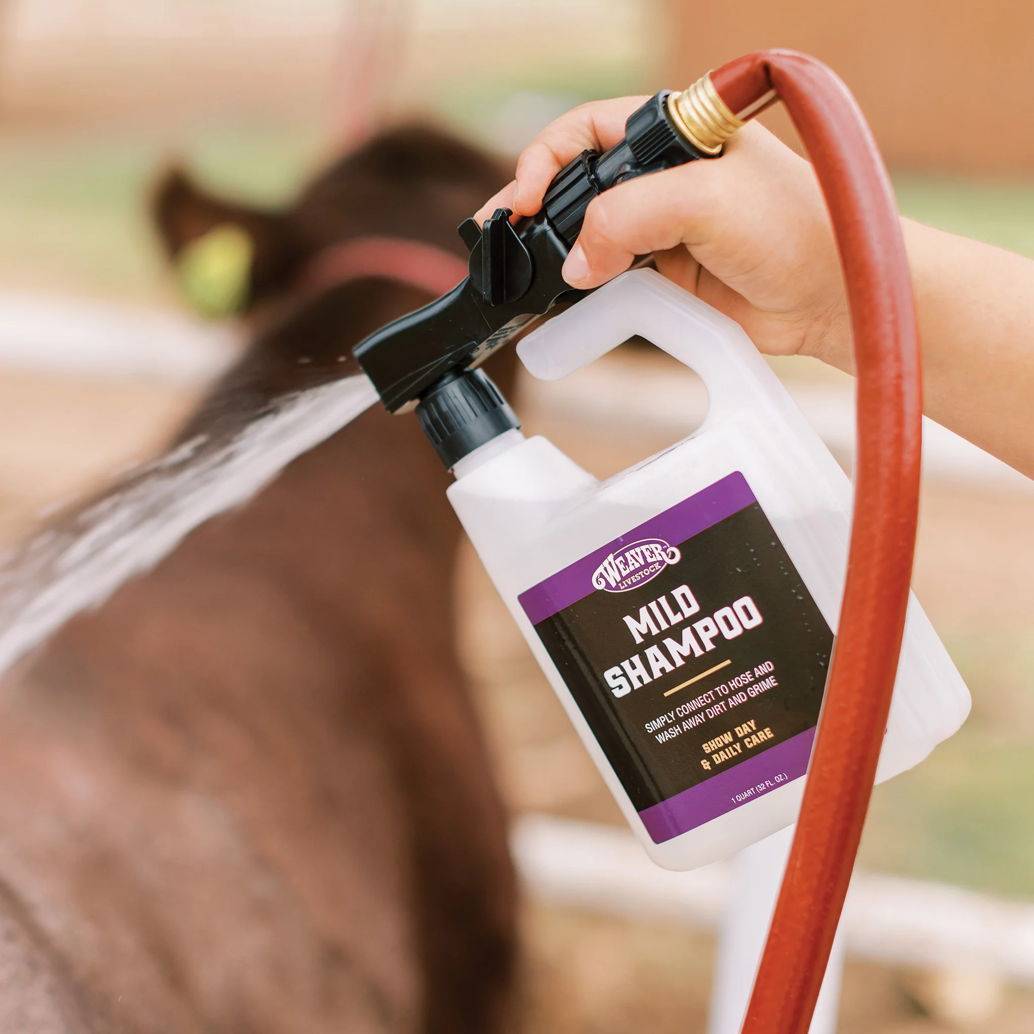 Mild Shampoo with Hose Attachment - Image 3