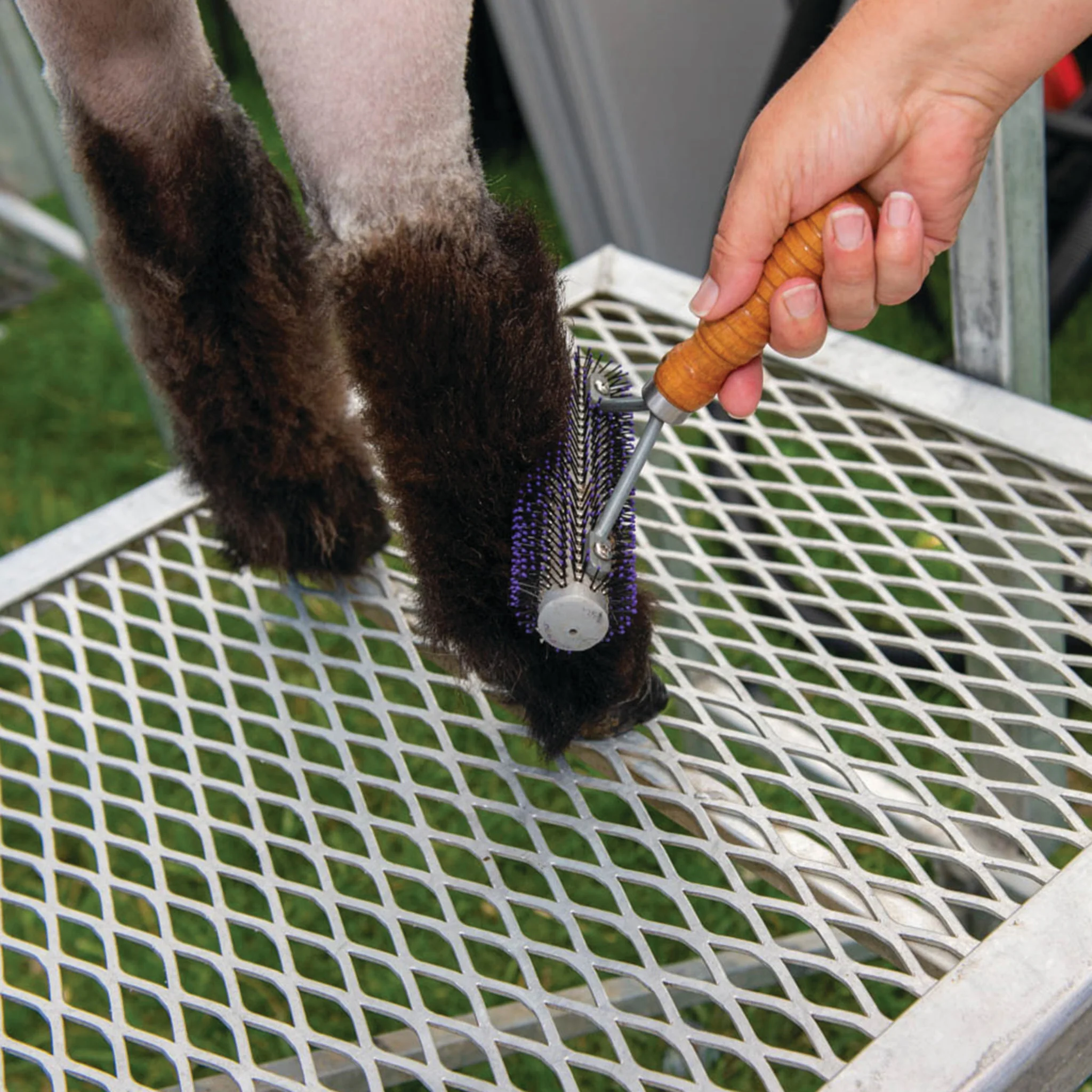 Mini Wide Range Brush - Image 5