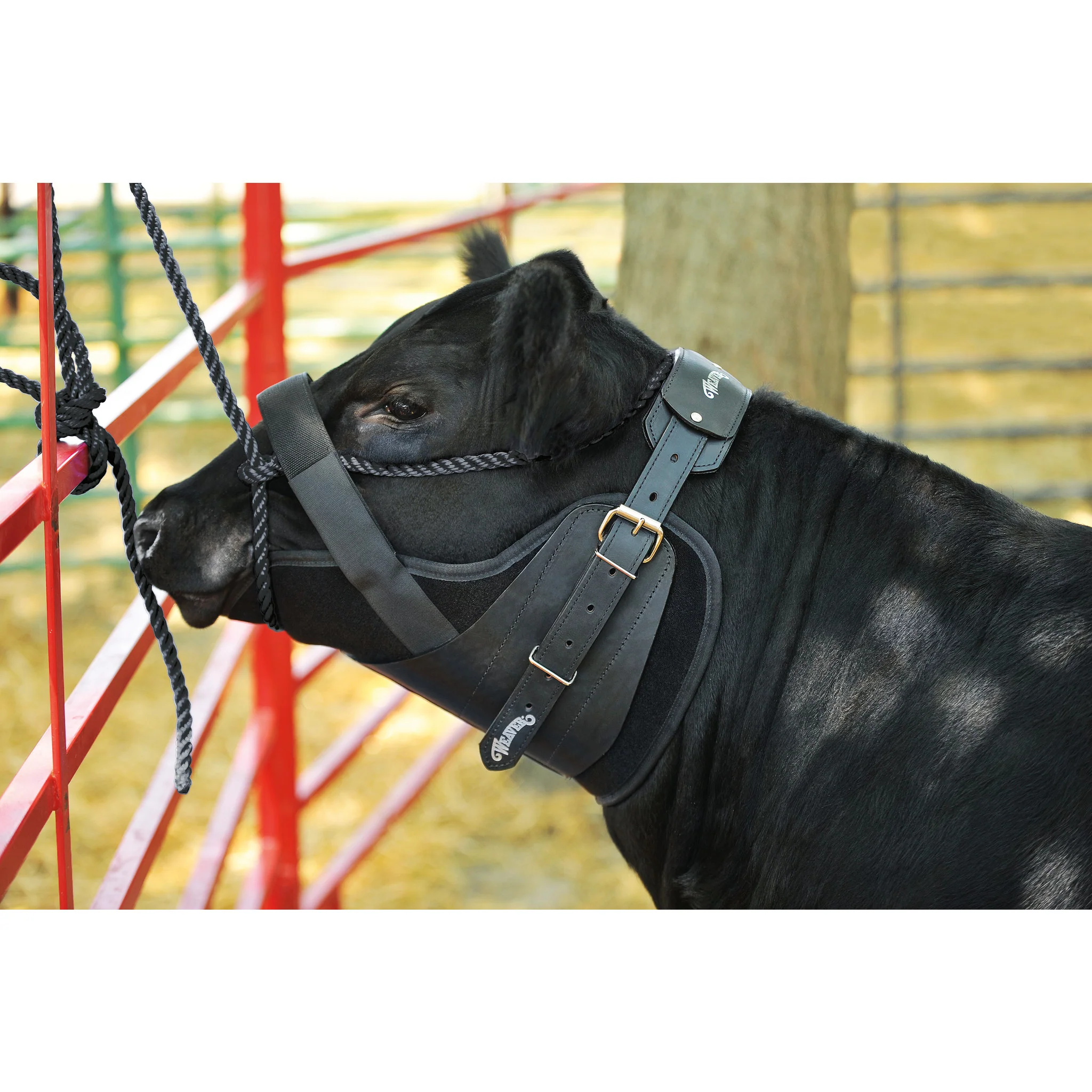 Neck Sweat System, Black Leather with SBR Neoprene Liner, Black, Large - Image 2