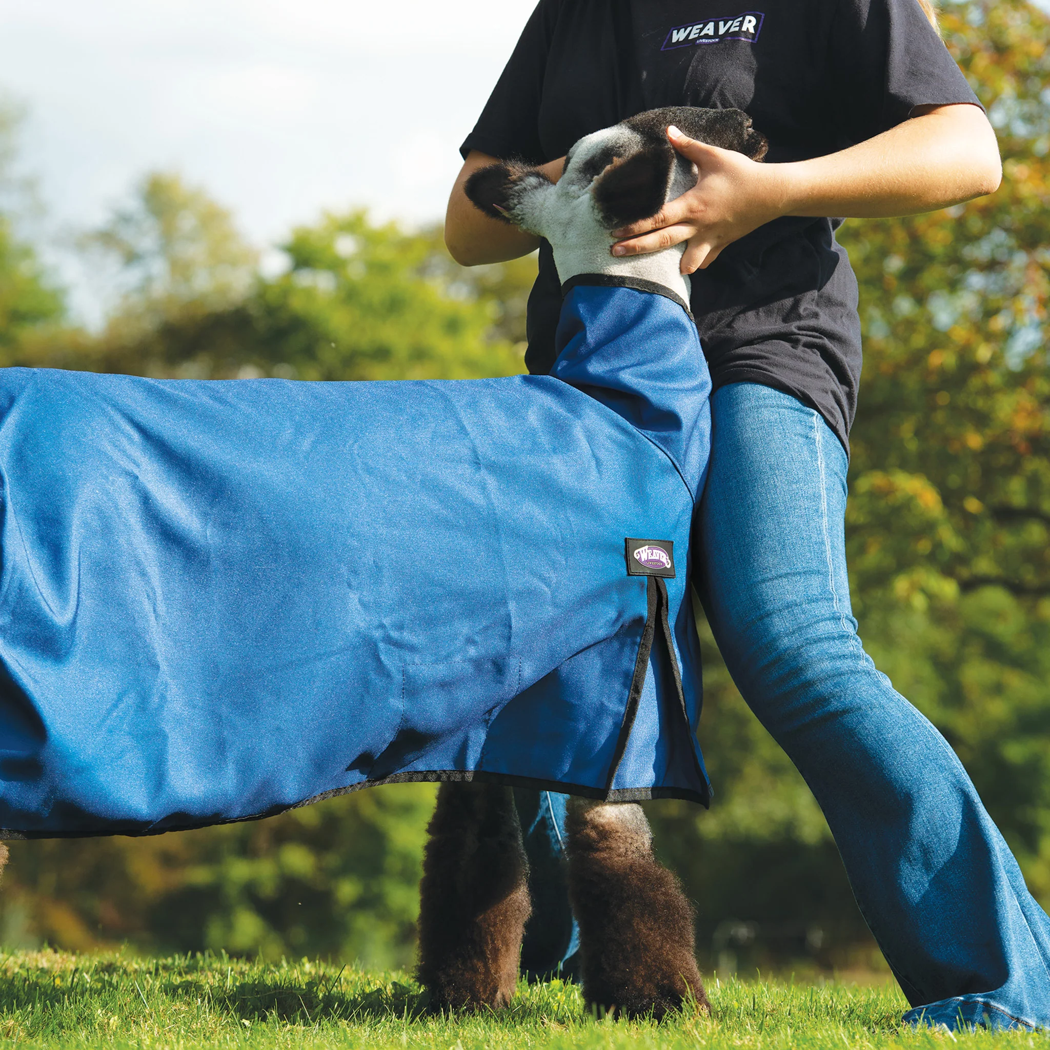 Nylon Sheep Blanket, Mesh Butt - Image 4