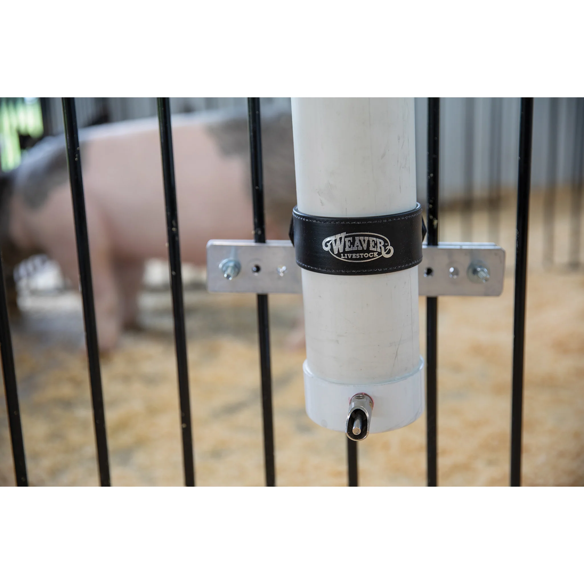 Pig Waterer - Image 3
