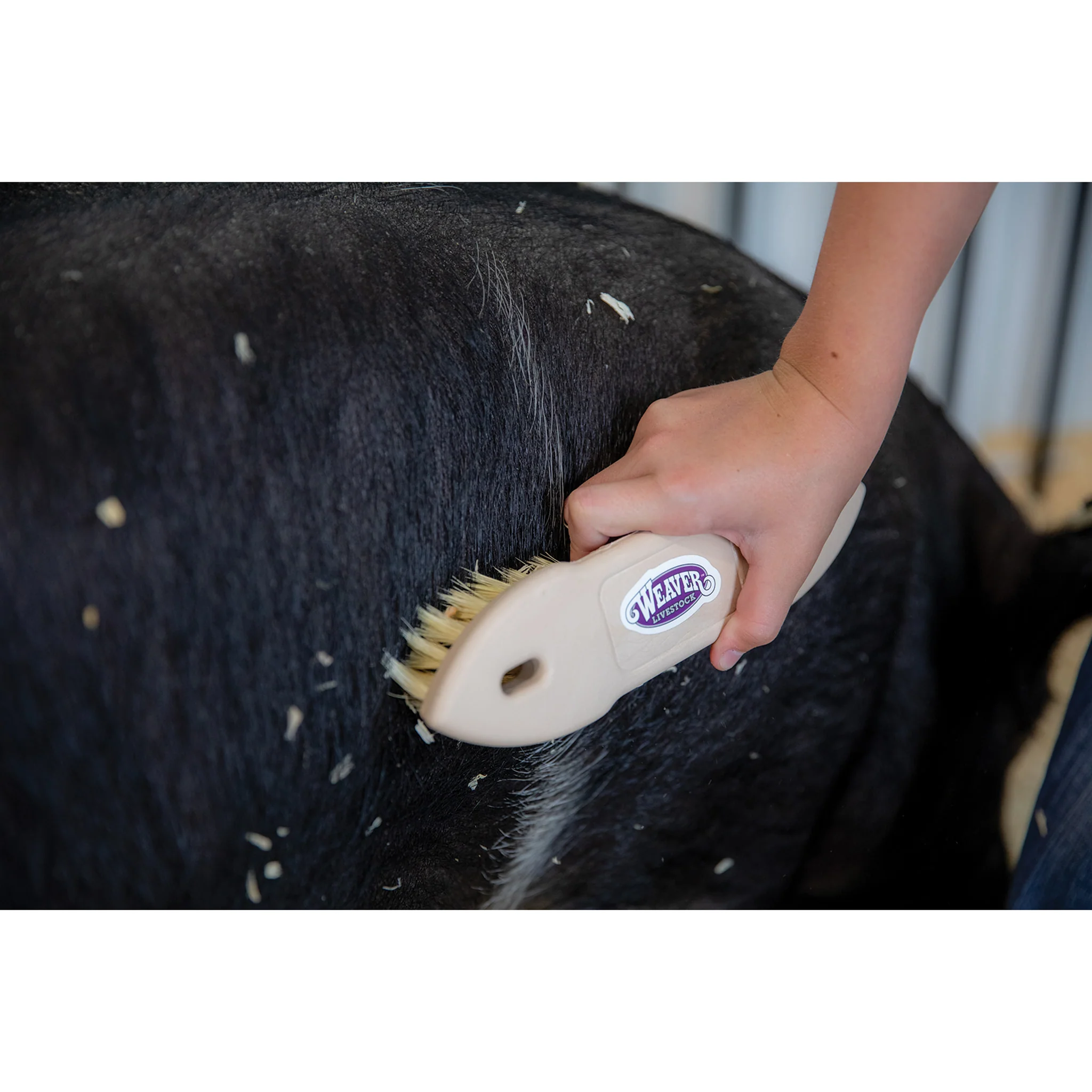 Plastic Tampico Pig Brush - Image 5