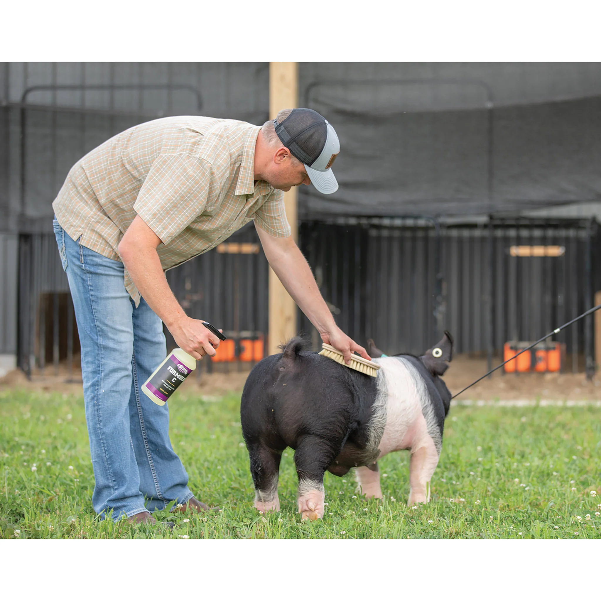 Plastic Tampico Pig Brush - Image 8