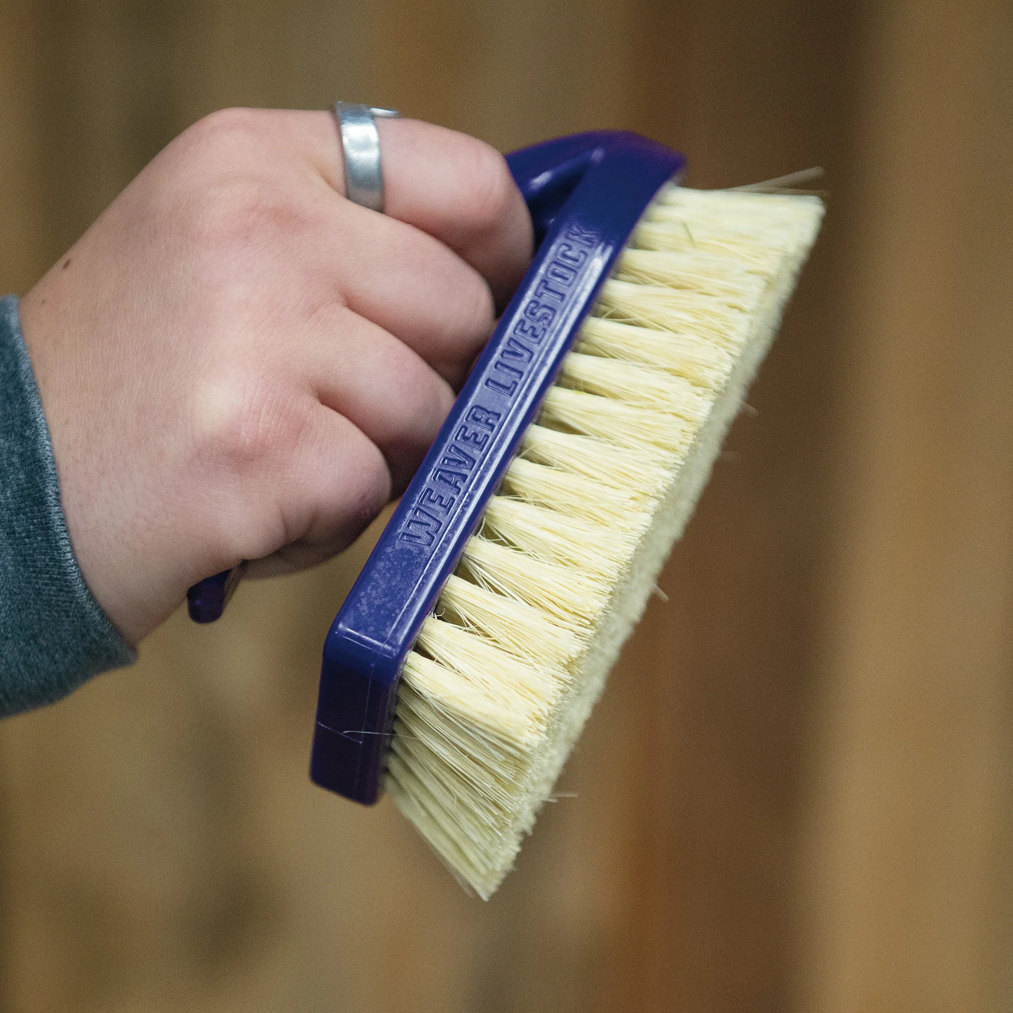 Plastic Tampico Pig Brush with Handle - Image 11