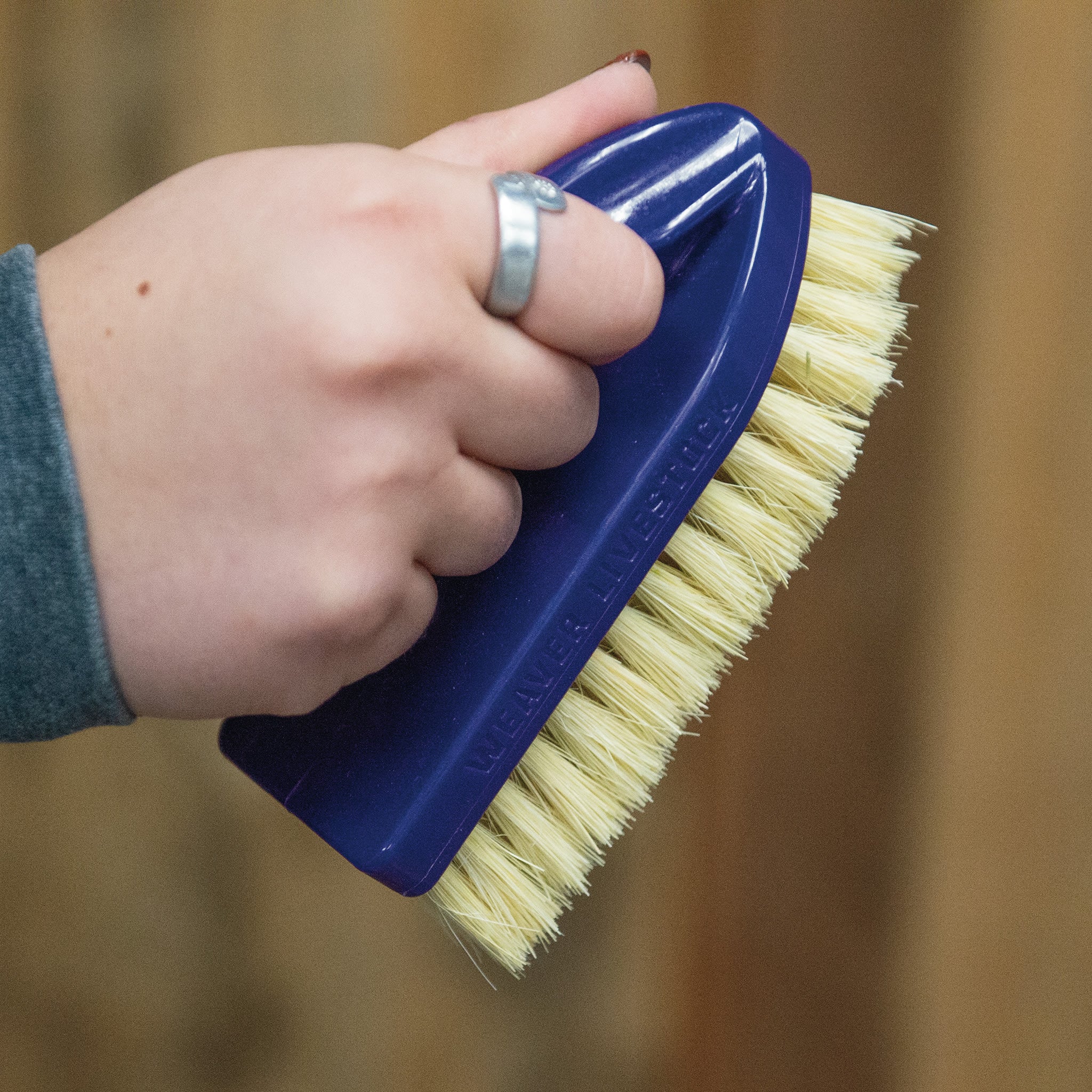 Plastic Tampico Pig Brush with Handle - Image 13