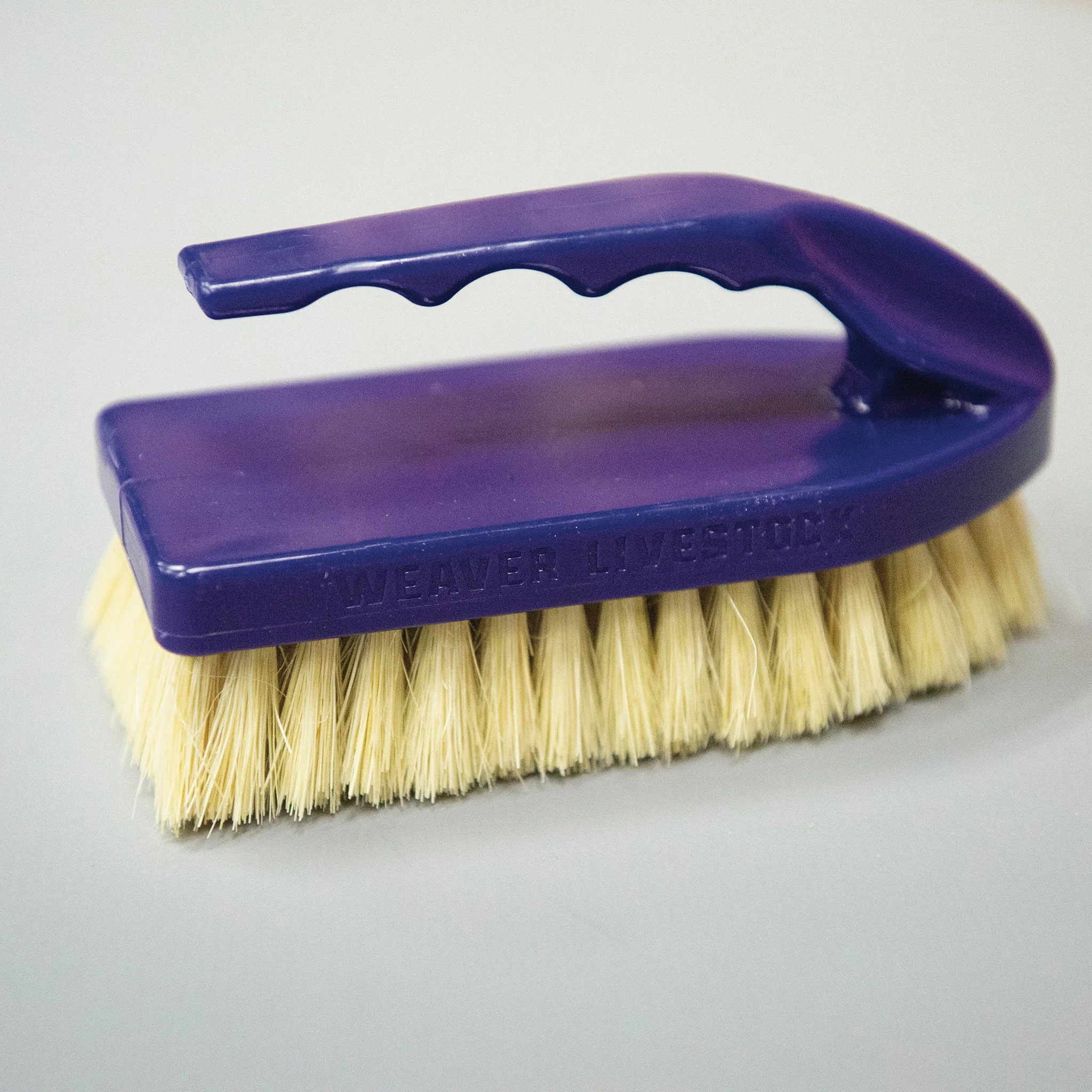 Plastic Tampico Pig Brush with Handle - Image 16