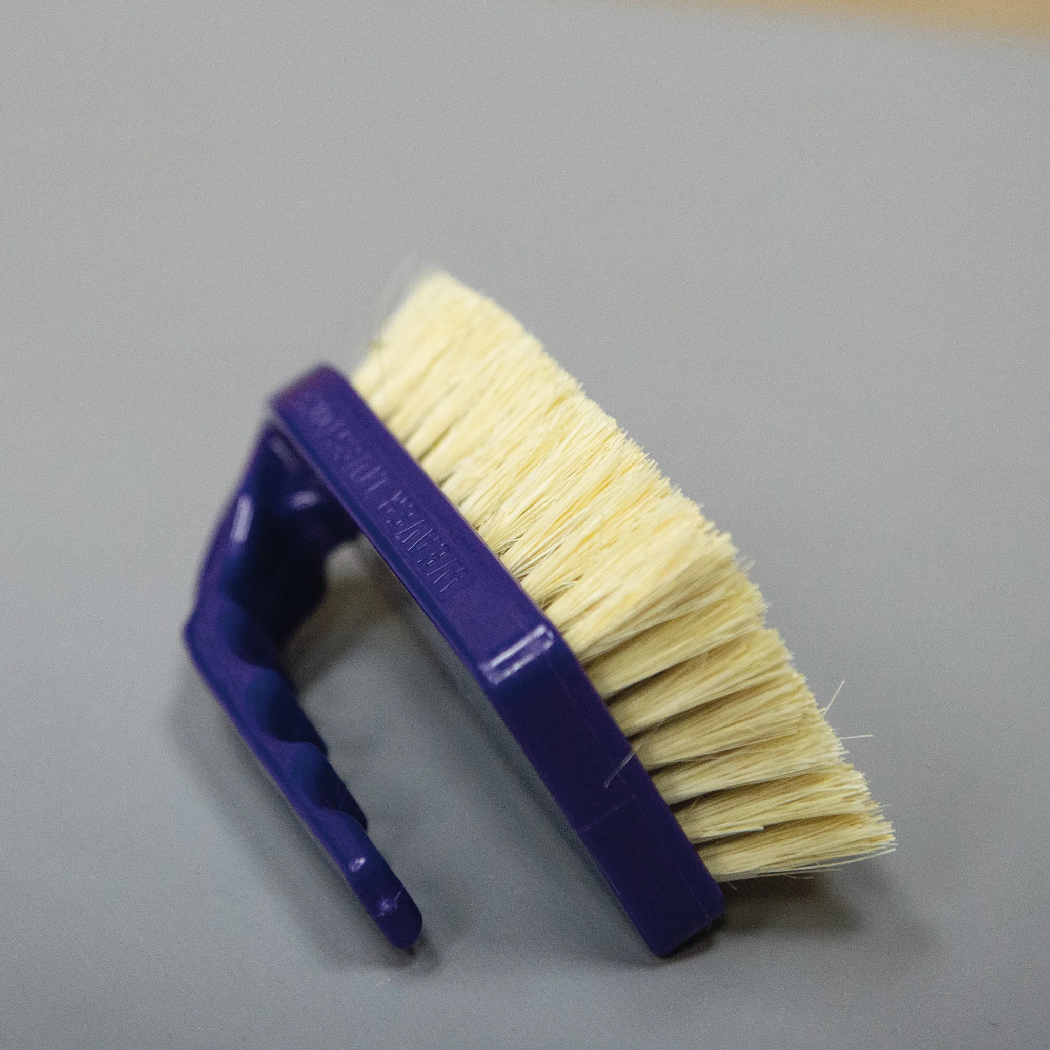 Plastic Tampico Pig Brush with Handle - Image 18