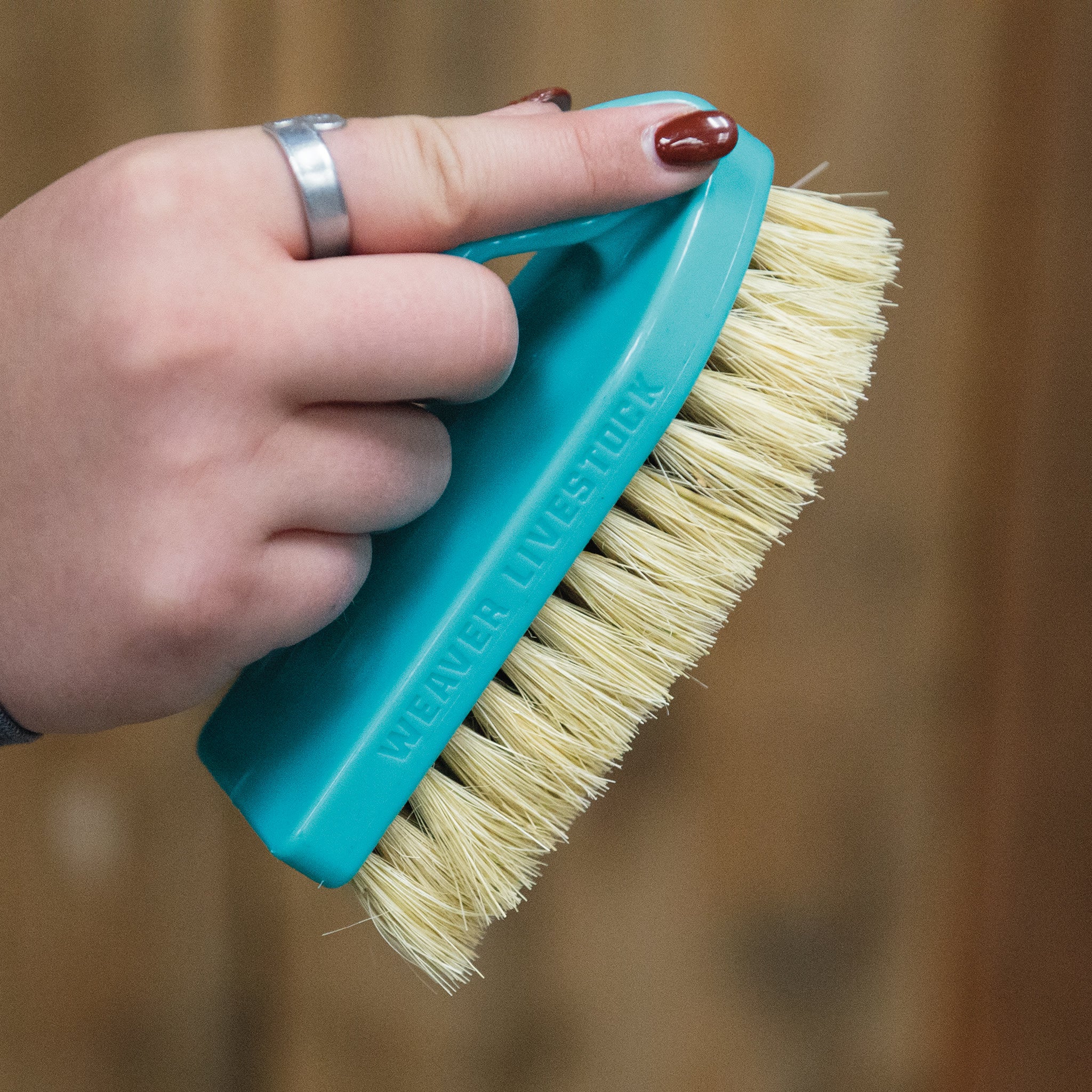 Plastic Tampico Pig Brush with Handle - Image 26