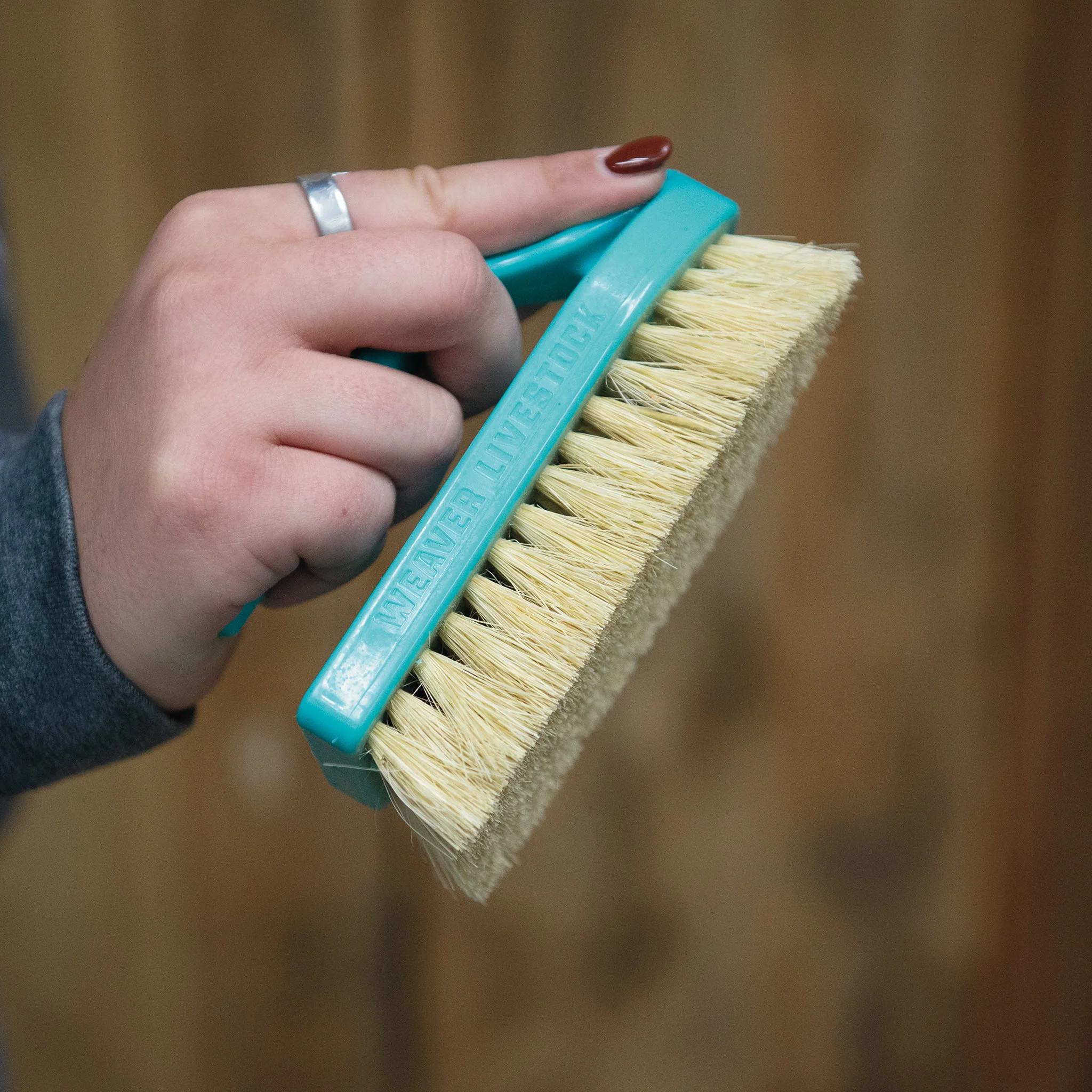 Plastic Tampico Pig Brush with Handle - Image 27
