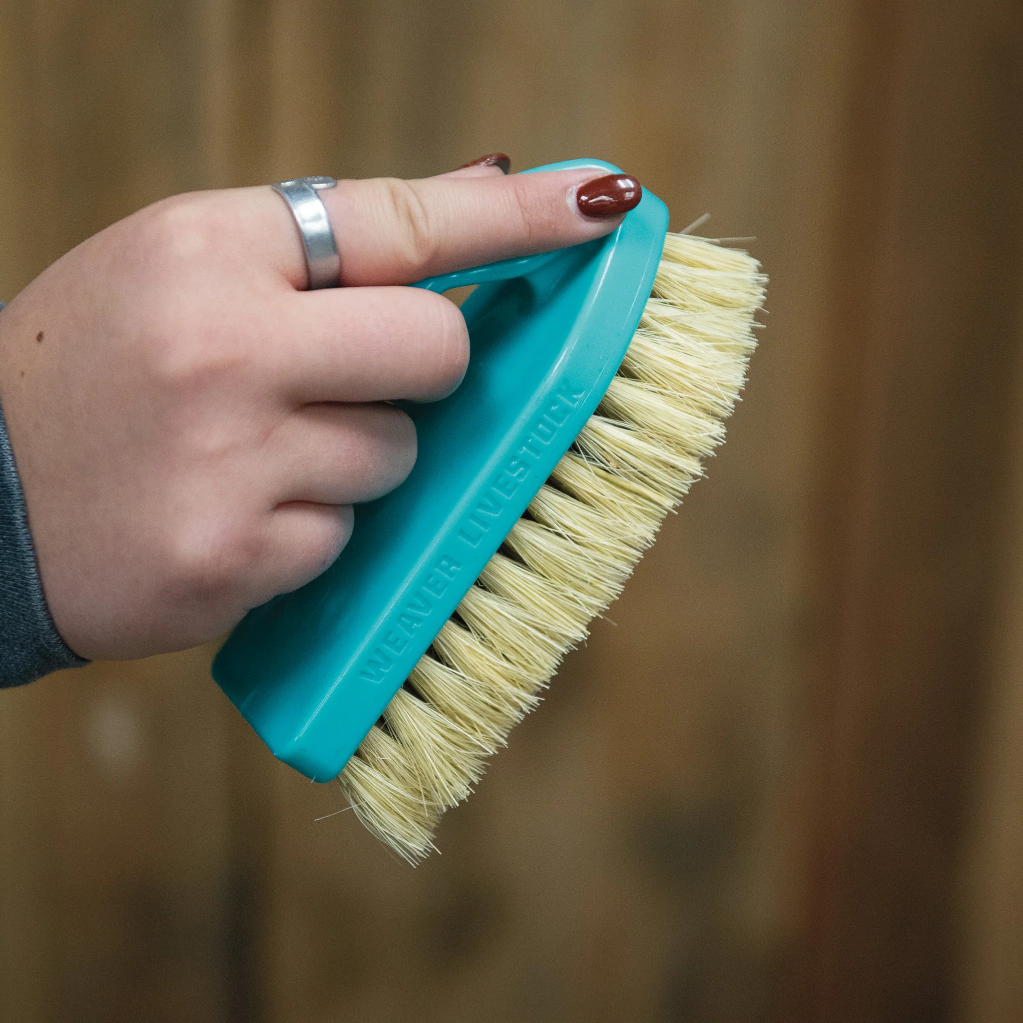 Plastic Tampico Pig Brush with Handle - Image 28