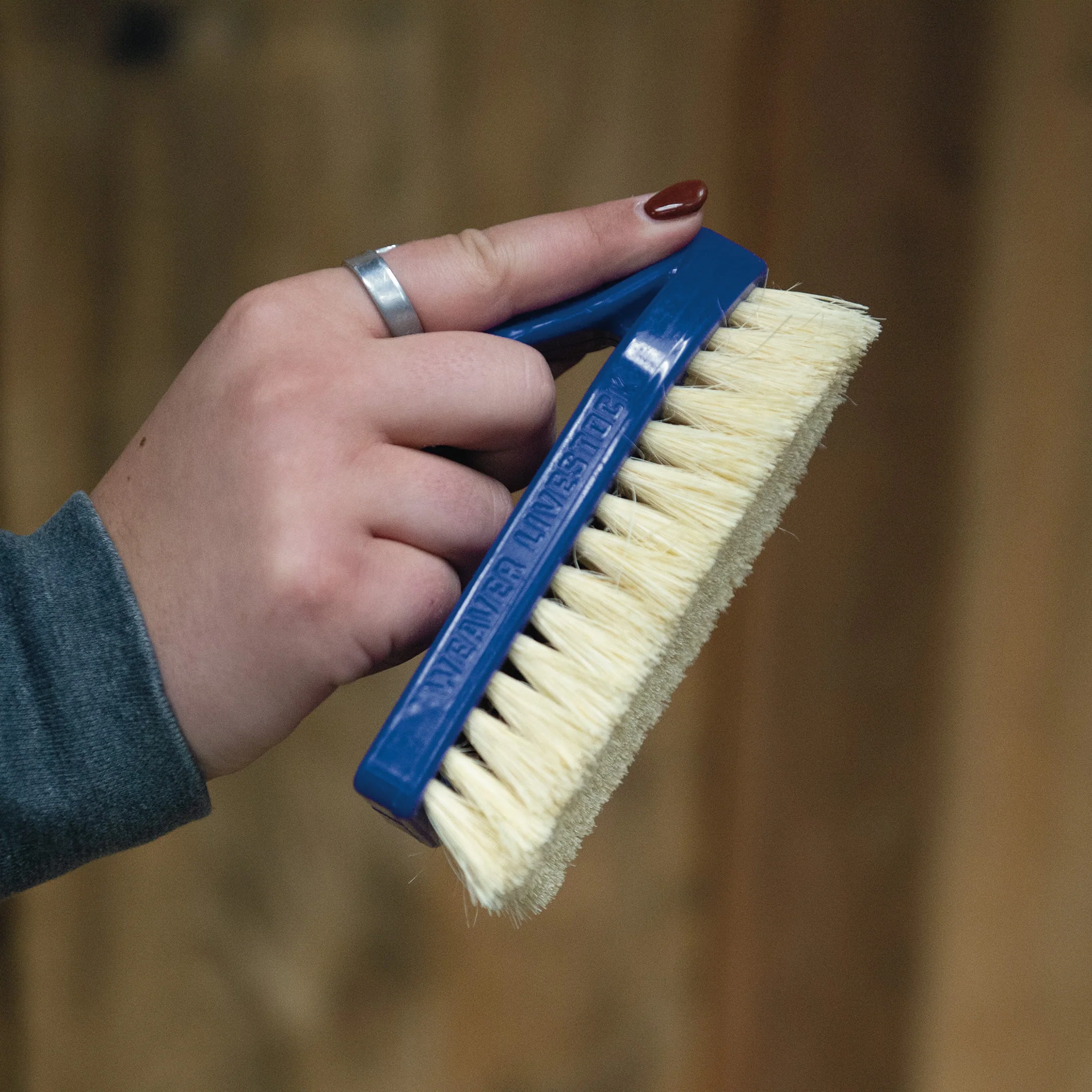 Plastic Tampico Pig Brush with Handle - Image 37