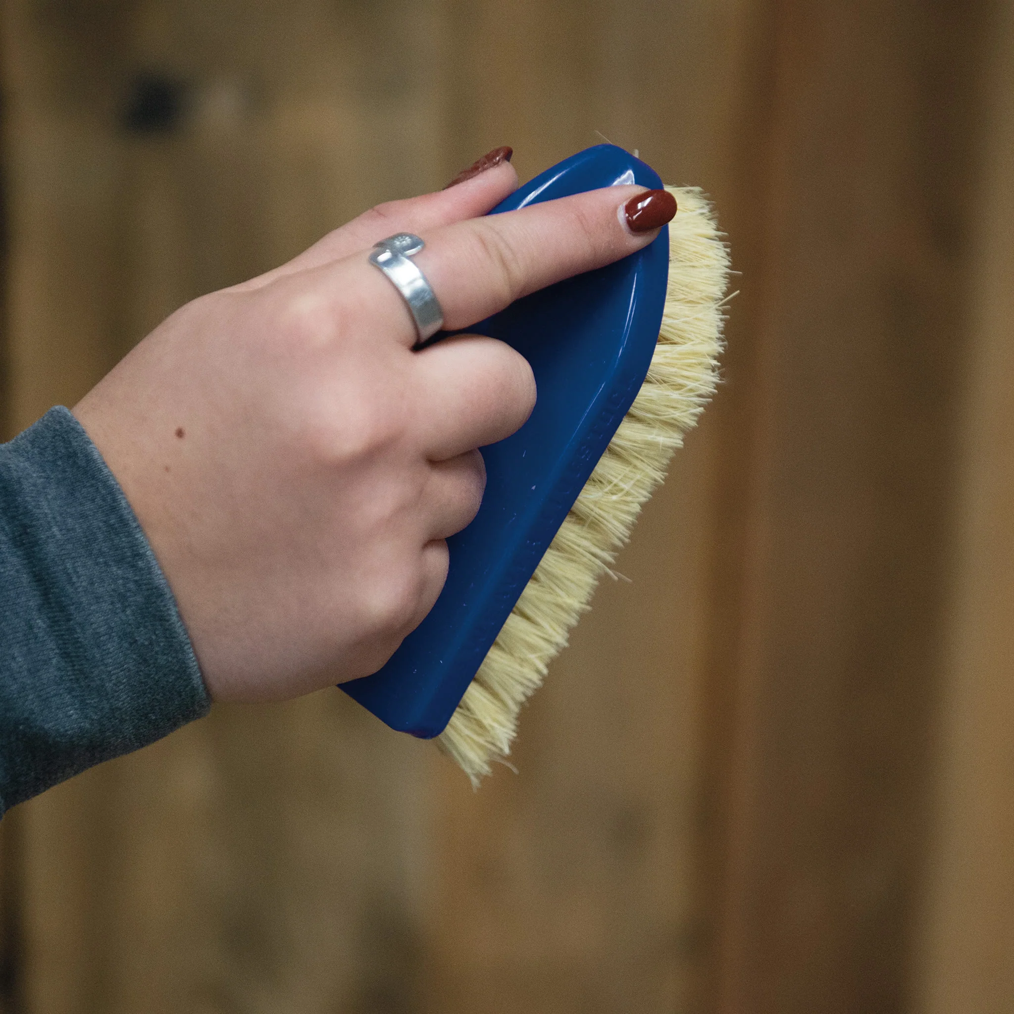 Plastic Tampico Pig Brush with Handle - Image 39