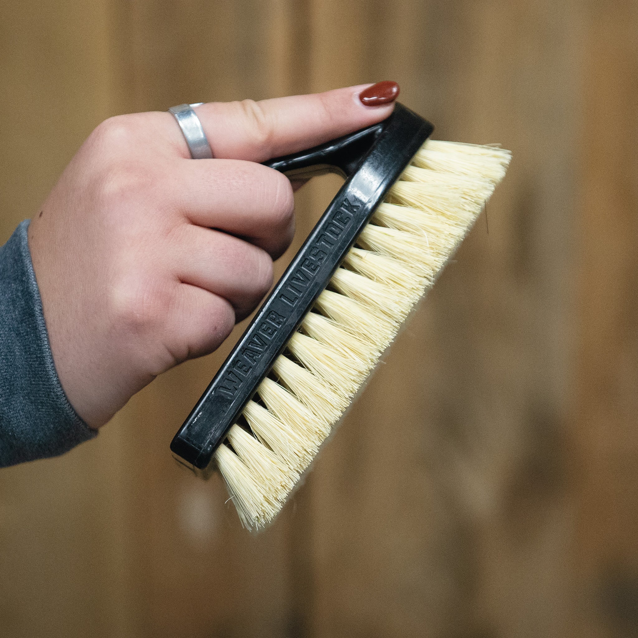 Plastic Tampico Pig Brush with Handle - Image 45