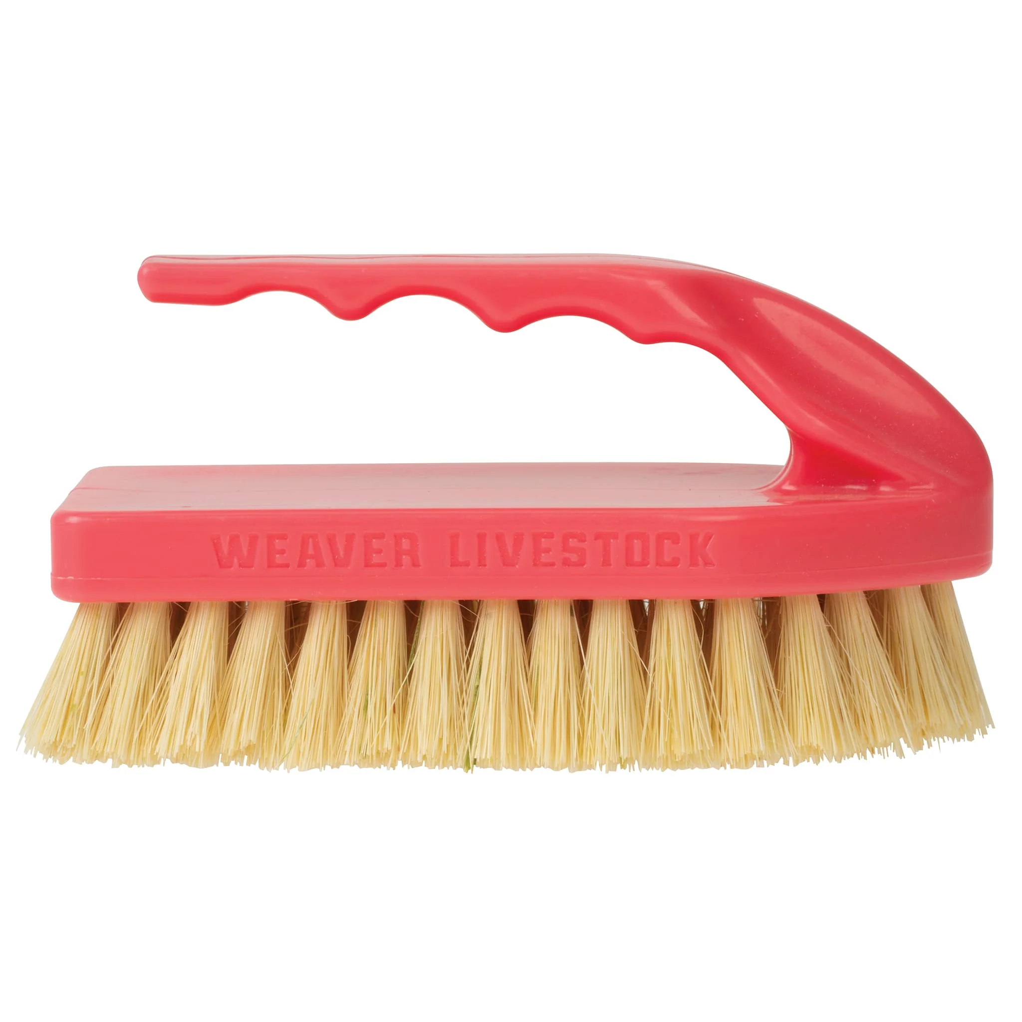 Plastic Tampico Pig Brush with Handle - Image 52