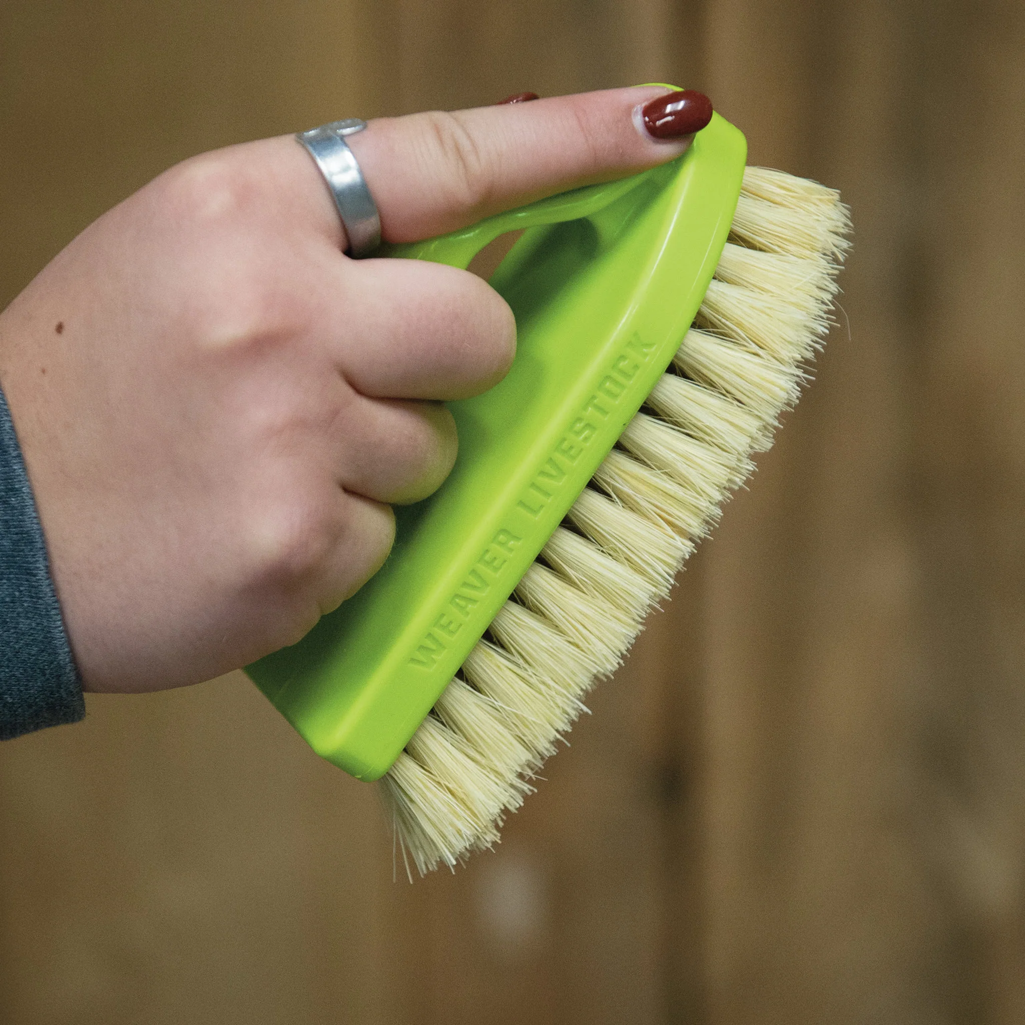 Plastic Tampico Pig Brush with Handle - Image 6